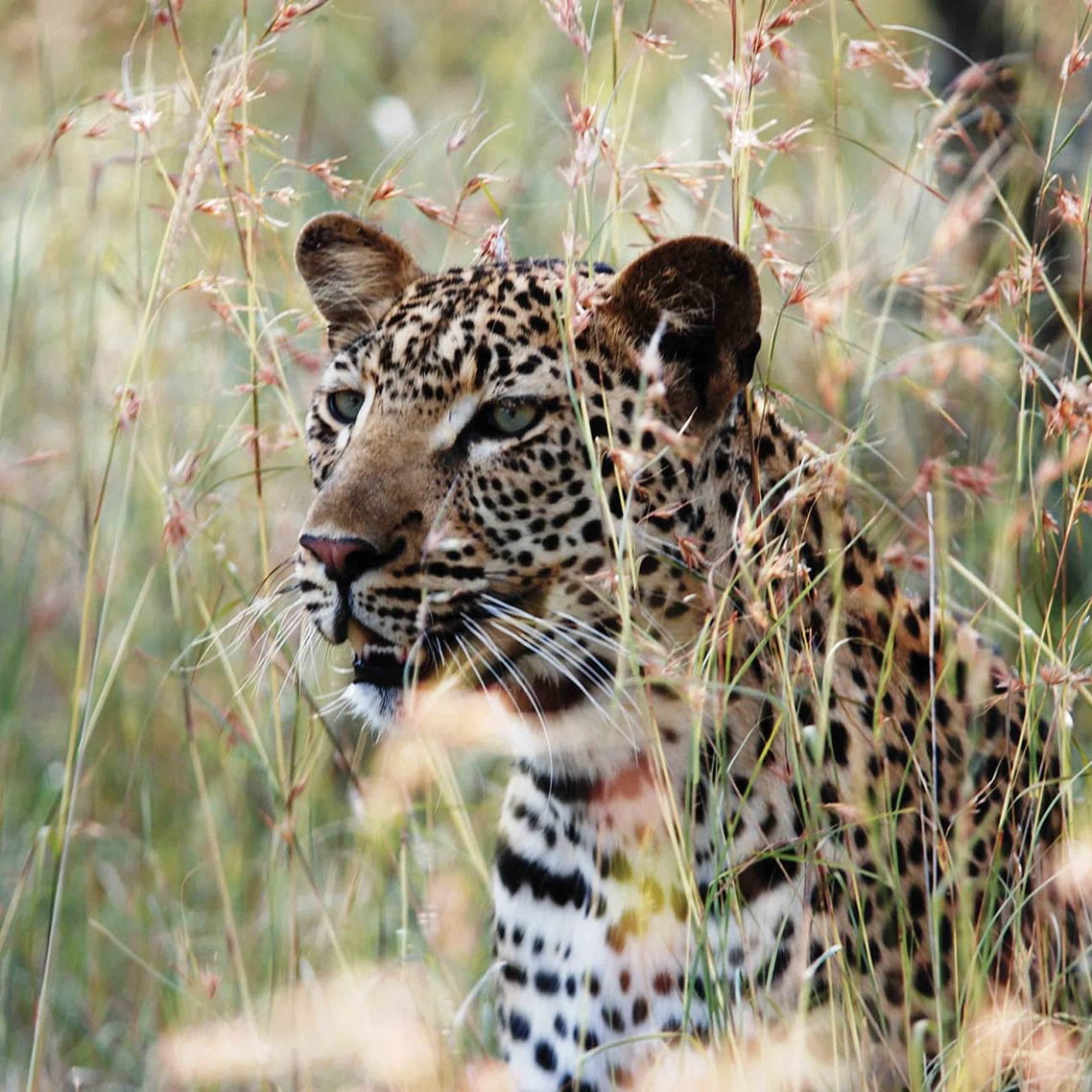 10 destinations insolites pour une lune de miel - Blog Mariage Madame C