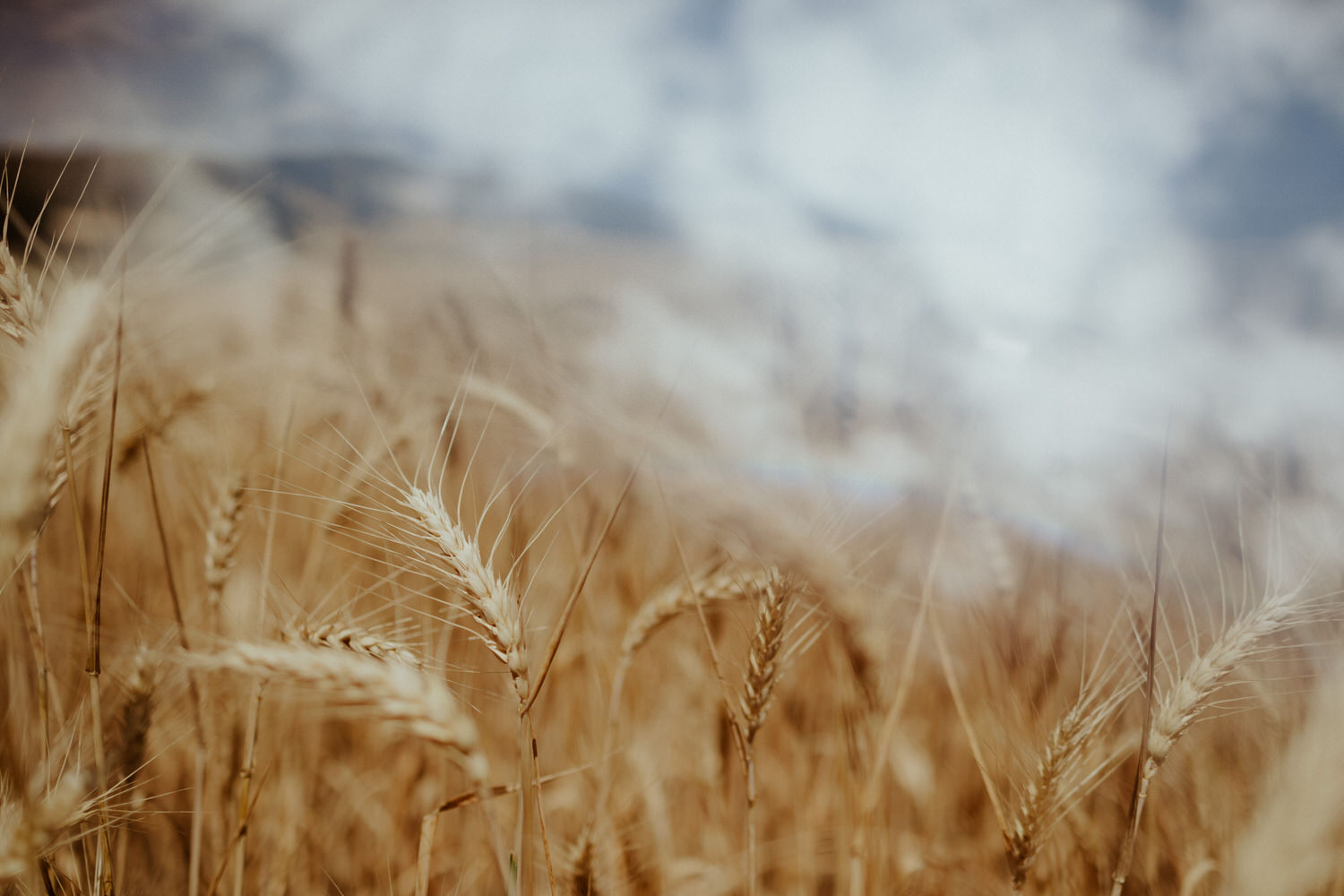 Mariage dans les Cévennes à la Villa La Cavalerie - Aurélie + Volker - Blog Mariage Madame C