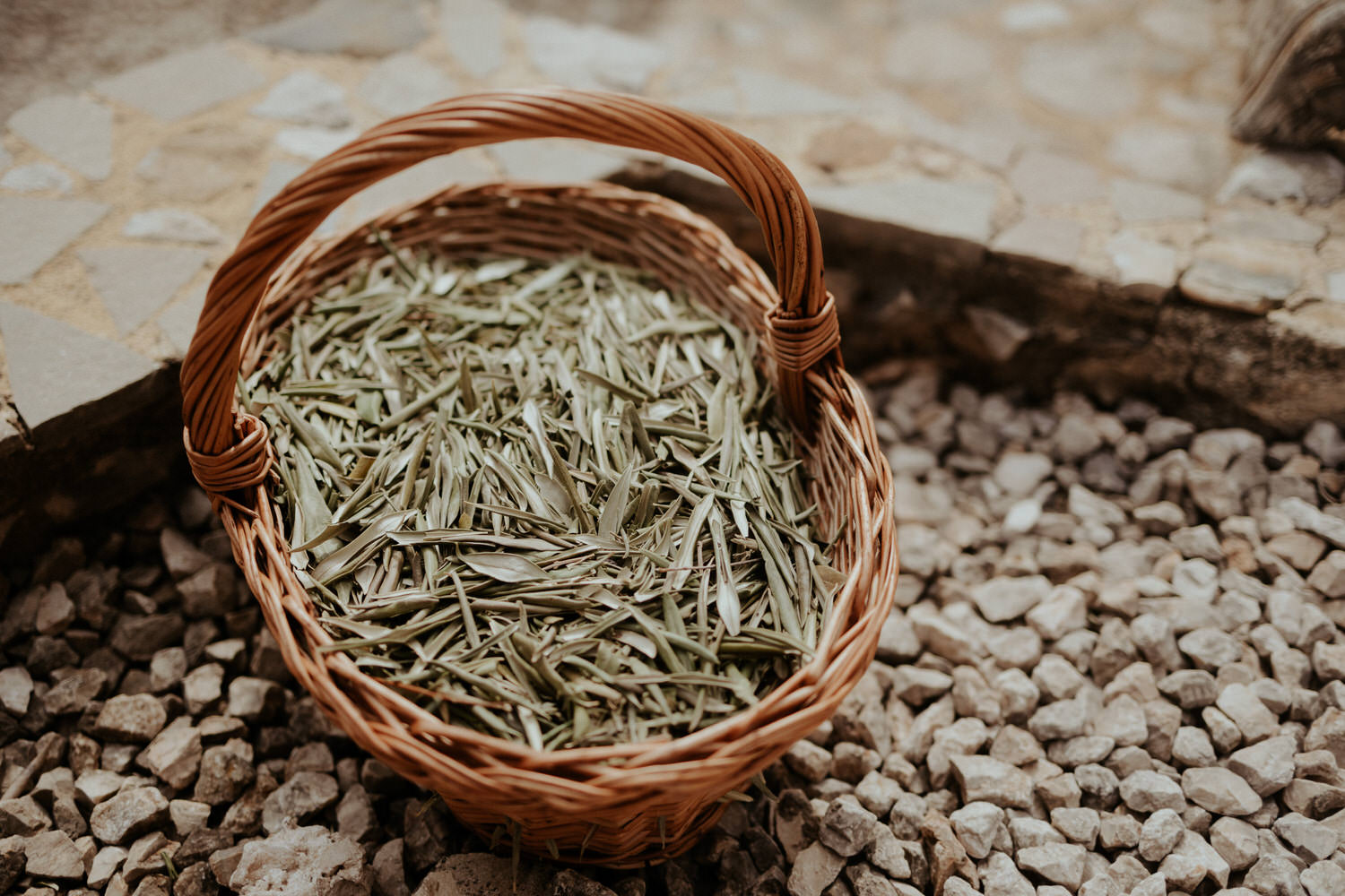 Mariage dans les Cévennes à la Villa La Cavalerie - Aurélie + Volker - Blog Mariage Madame C