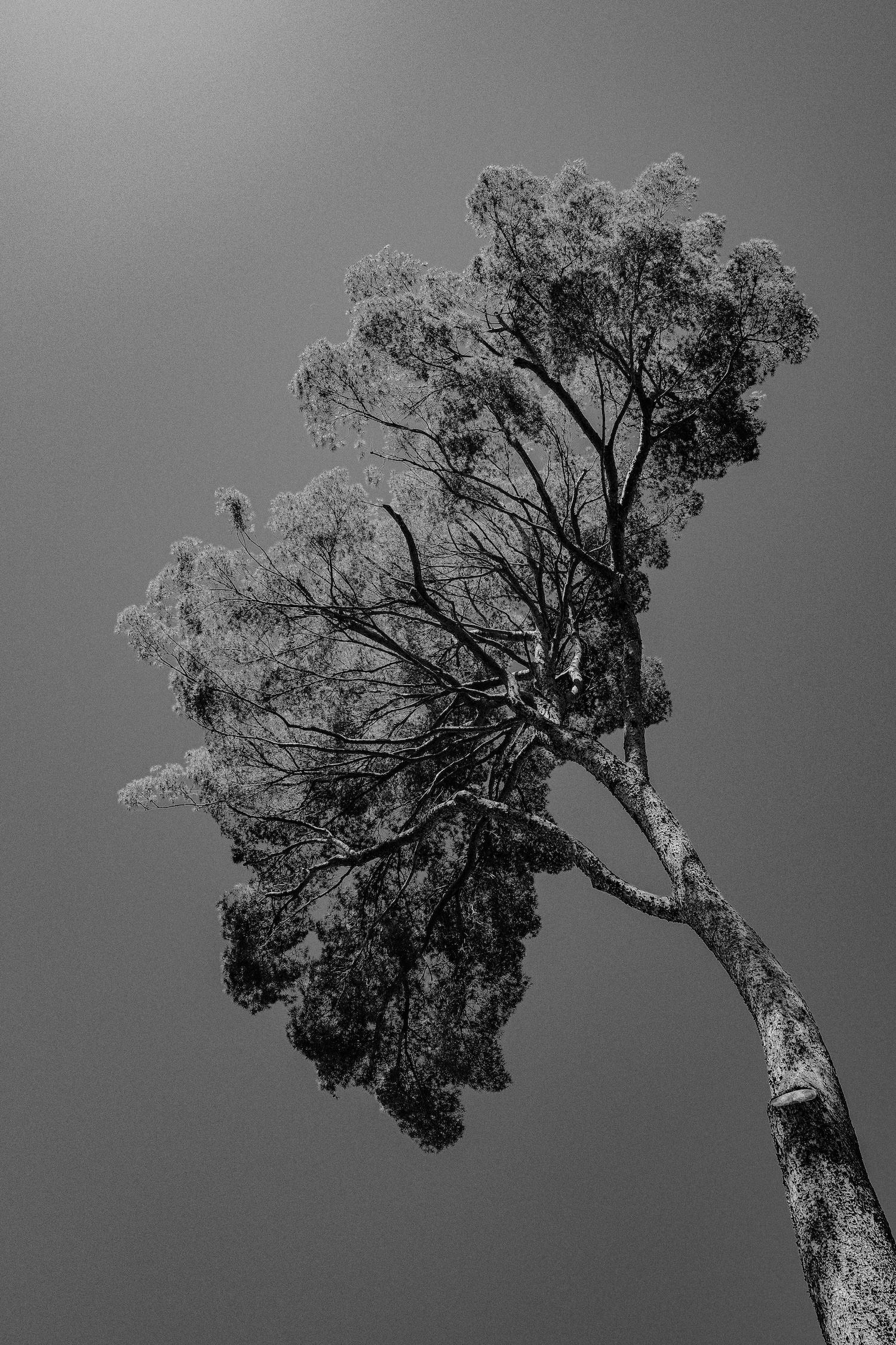 Mariage de Provence au Château de Grimaldi - Daphné + Clément - Blog Mariage Madame C