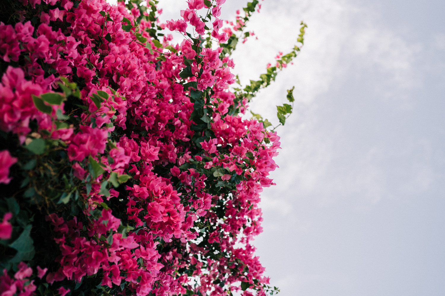 So Hélo Collection 2023 - Bijoux et accessoires mariage - Blog Mariage Madame C So Hélo Collection 2023 - Bijoux et accessoires mariage - Blog Mariage Madame C