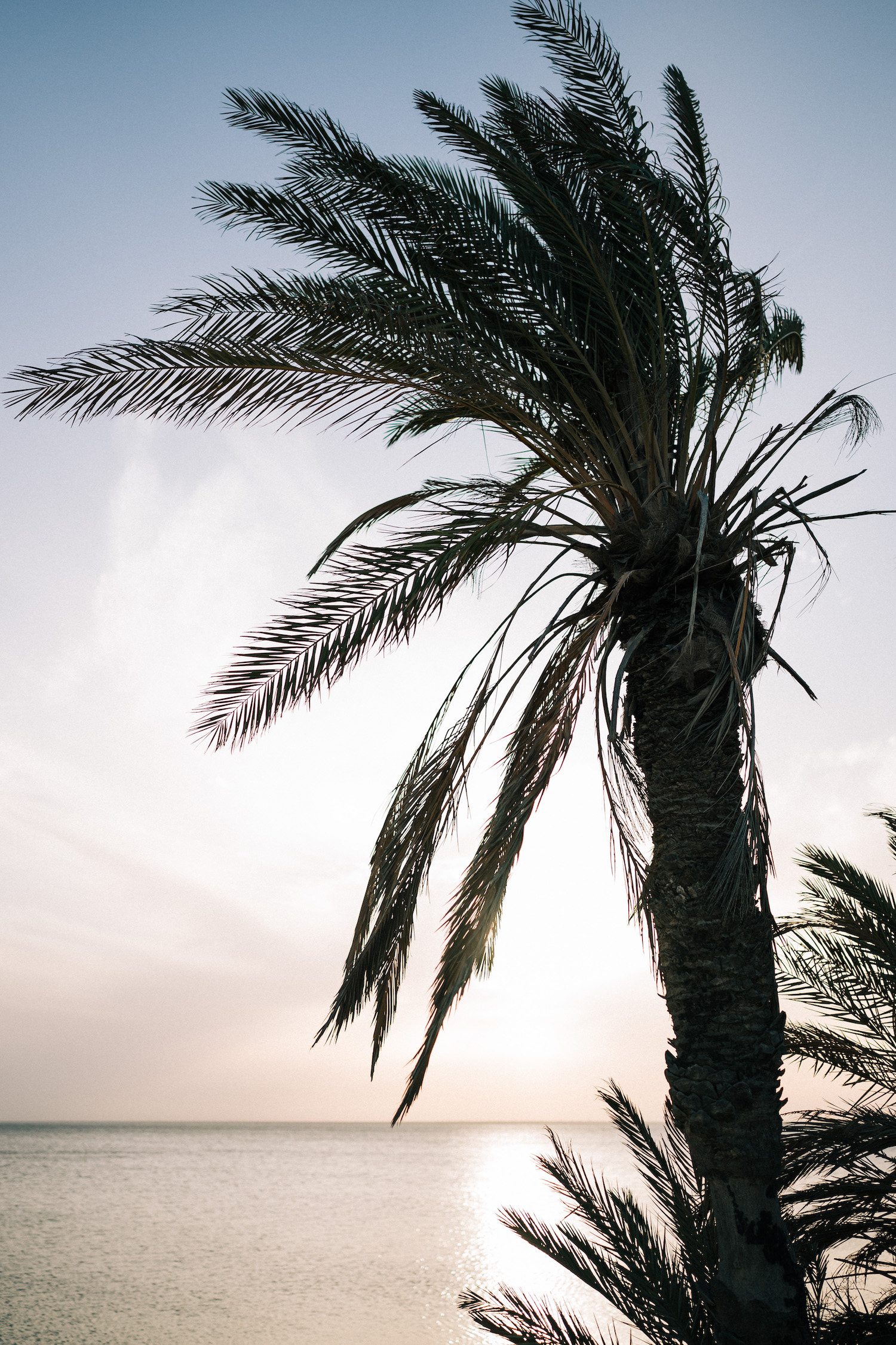 So Hélo Collection 2023 - Bijoux et accessoires mariage - Blog Mariage Madame C So Hélo Collection 2023 - Bijoux et accessoires mariage - Blog Mariage Madame C