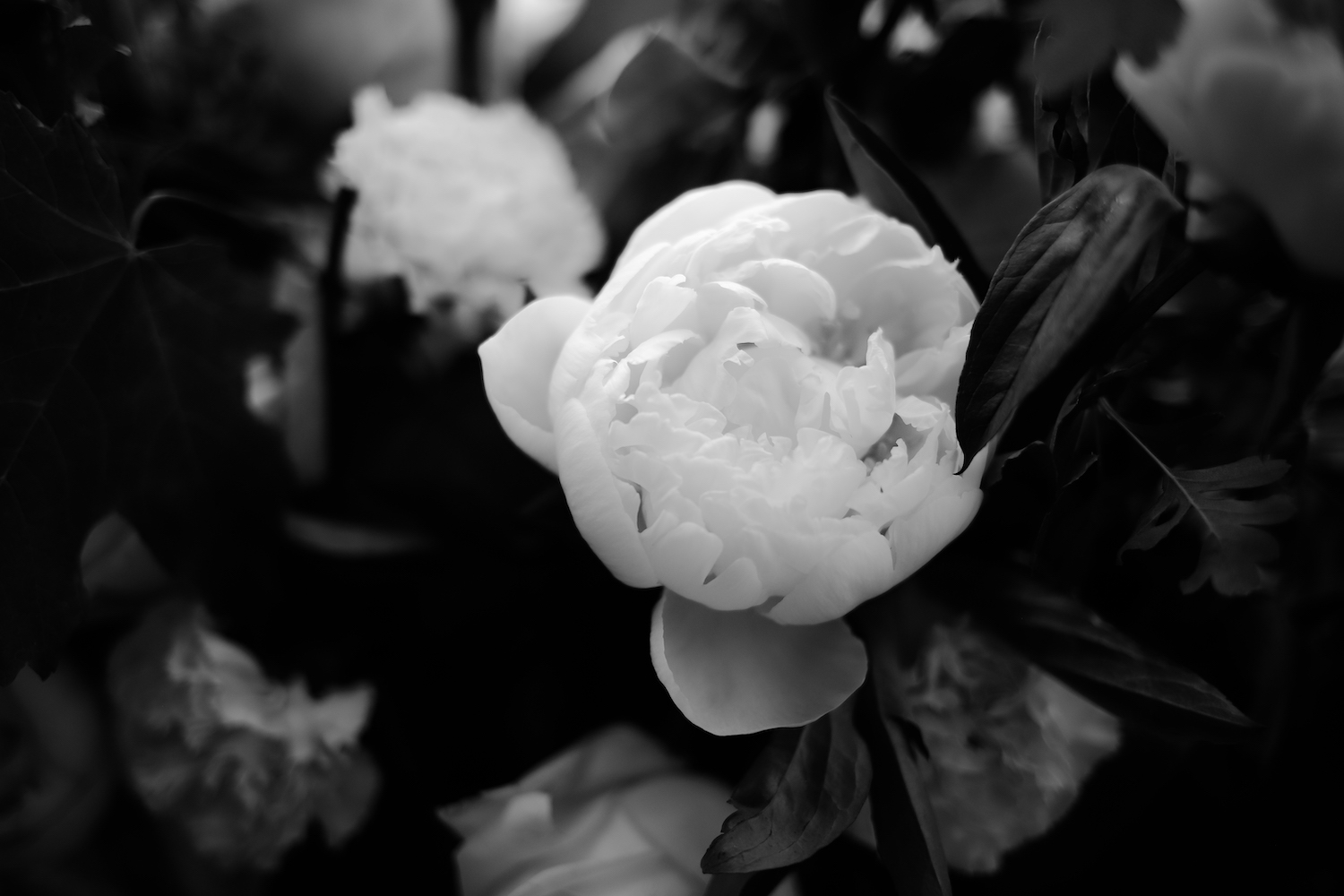 Mariage dans une Abbaye en Picardie - Fabiola + Christopher - Blog Mariage Madame C