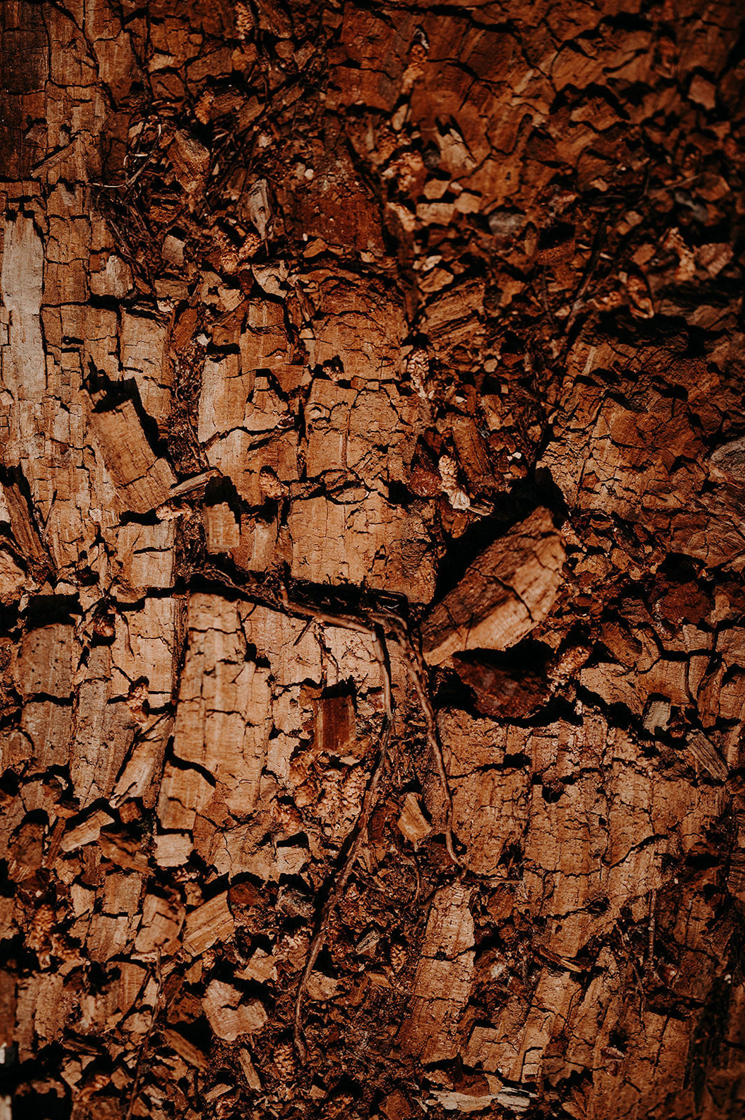 ETHNIC - εθνικός - Blog Mariage Madame C