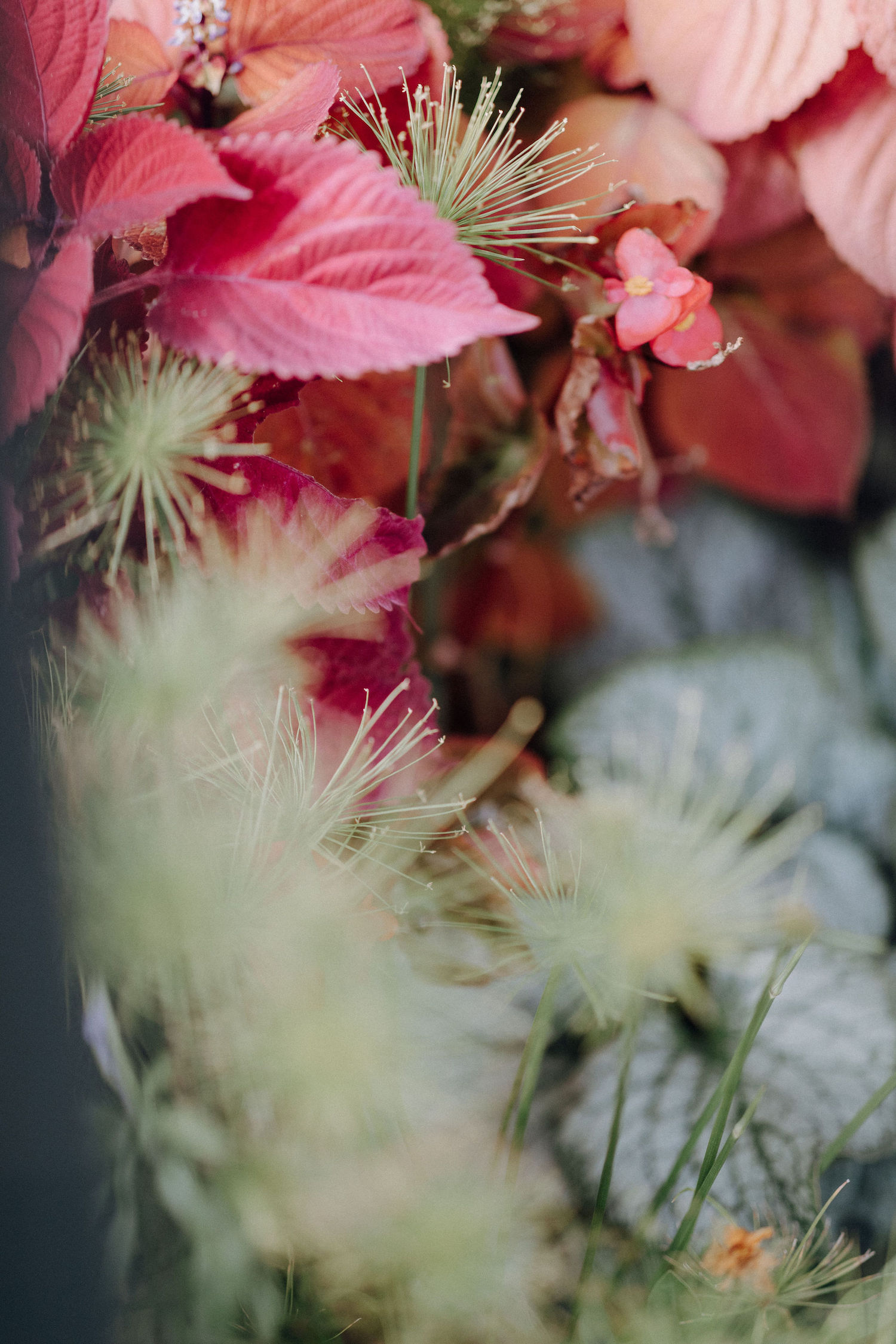 Mariage moderne d'automne - Isabelle + Arnaud - Blog Mariage Madame C