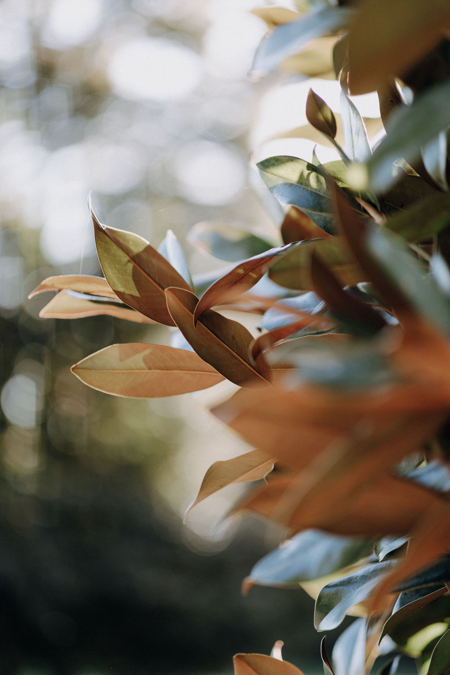 Mariage moderne d'automne - Isabelle + Arnaud - Blog Mariage Madame C