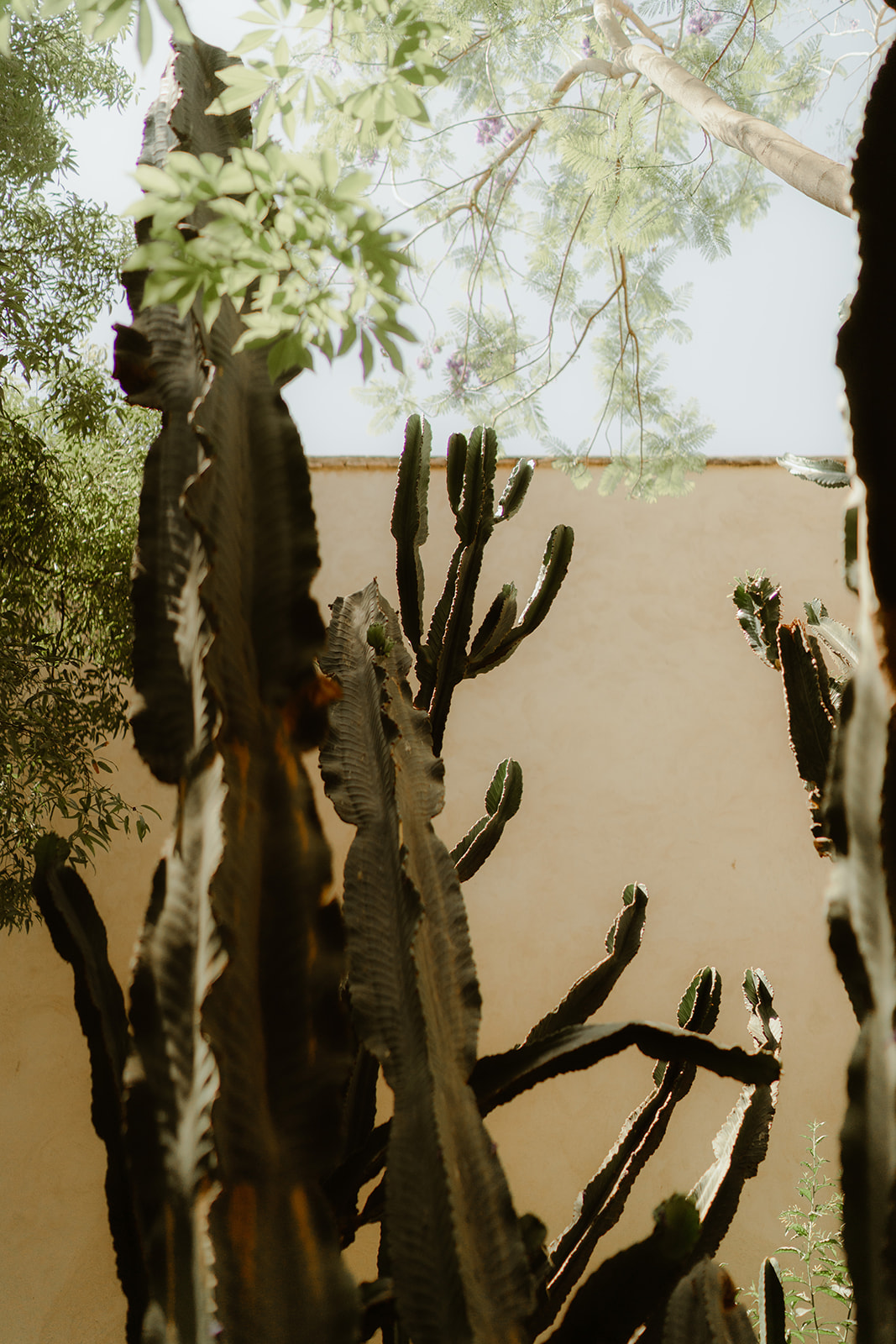 Un elopement à Marrakech - Kayla + Fethawie - Blog Mariage Madame C