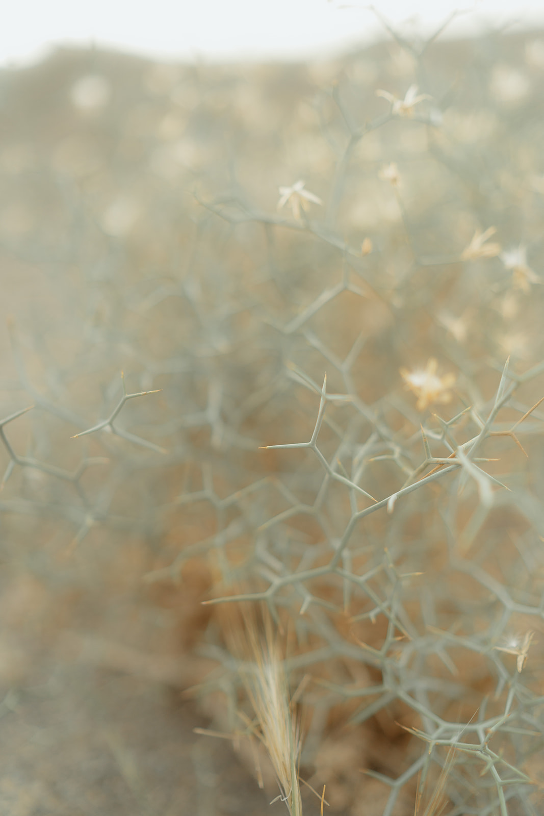 Un elopement à Marrakech - Kayla + Fethawie - Blog Mariage Madame C