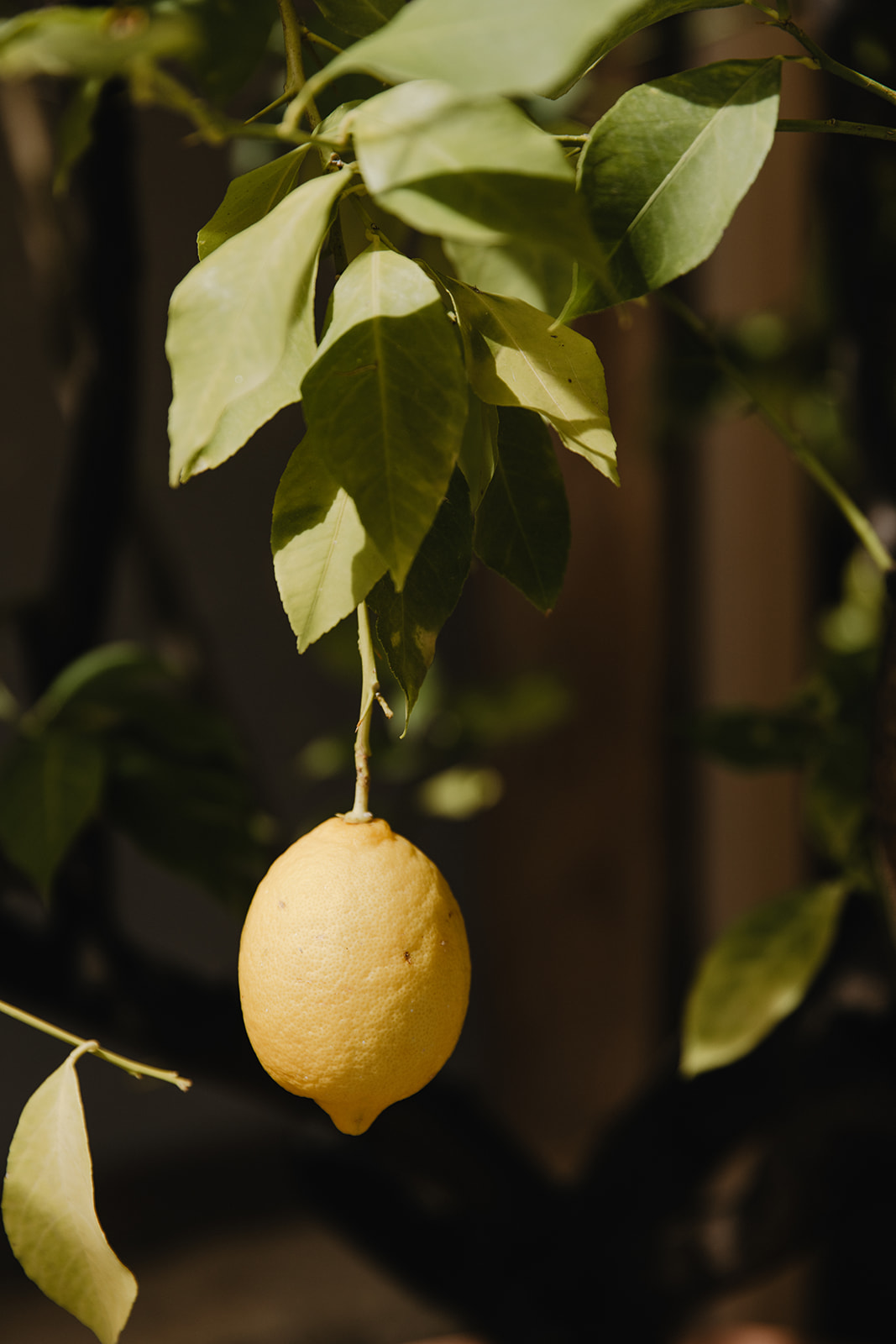 Mariage de Provence au Monastère de Ségries - Michelle + Andrin - Blog Mariage Madame C