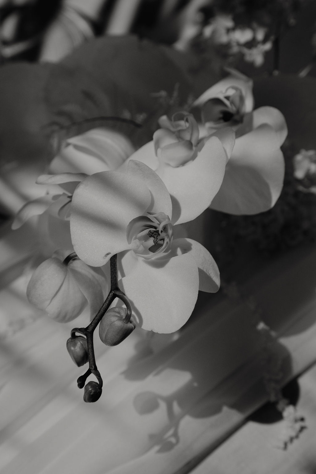 The One Workshop - Ibiza > Avril 2023 - Blog Mariage Madame C The One Workshop - Ibiza > Avril 2023 - Blog Mariage Madame C