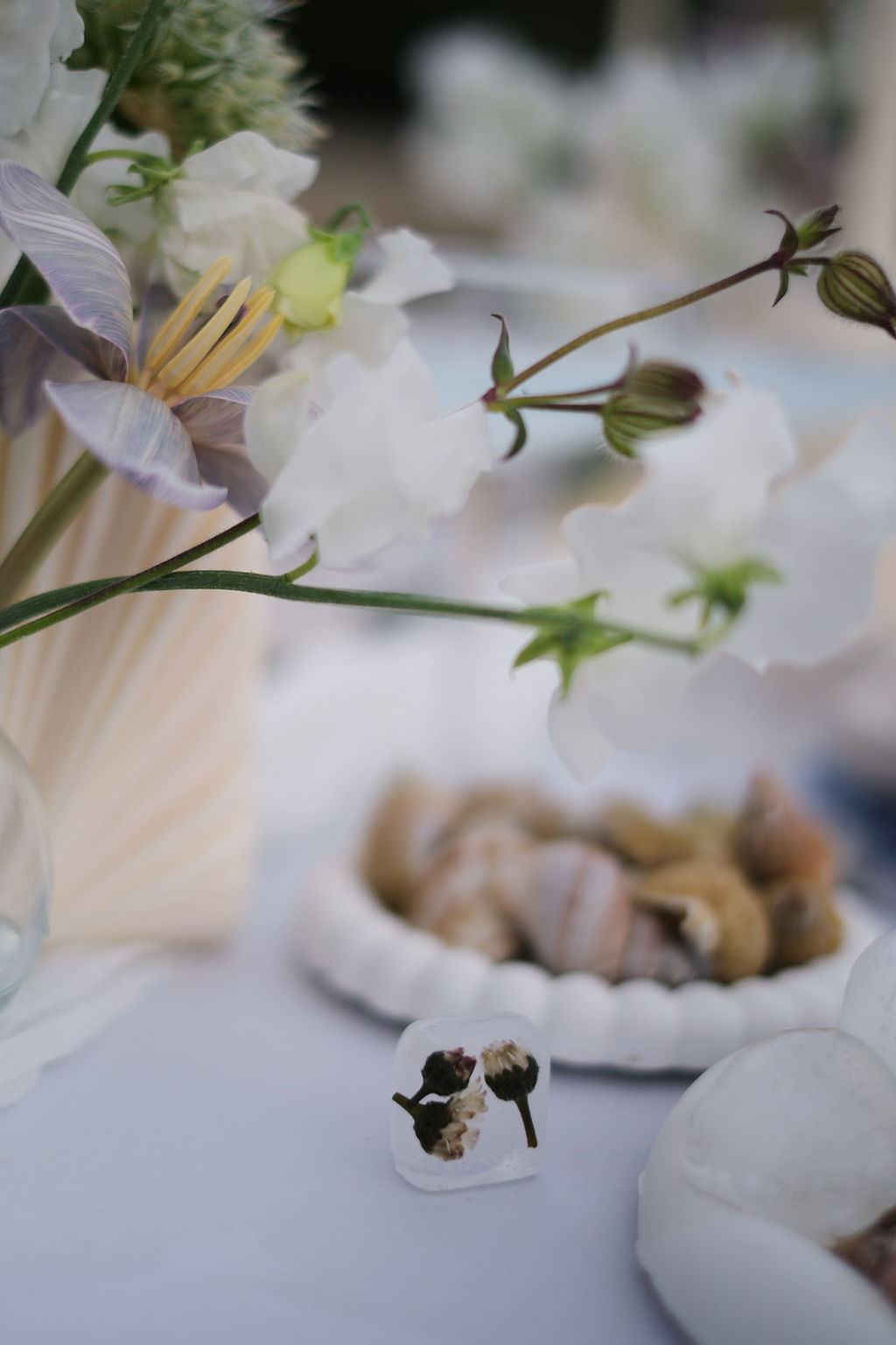 Mermaid - Blog Mariage Madame C Mermaid - Blog Mariage Madame C