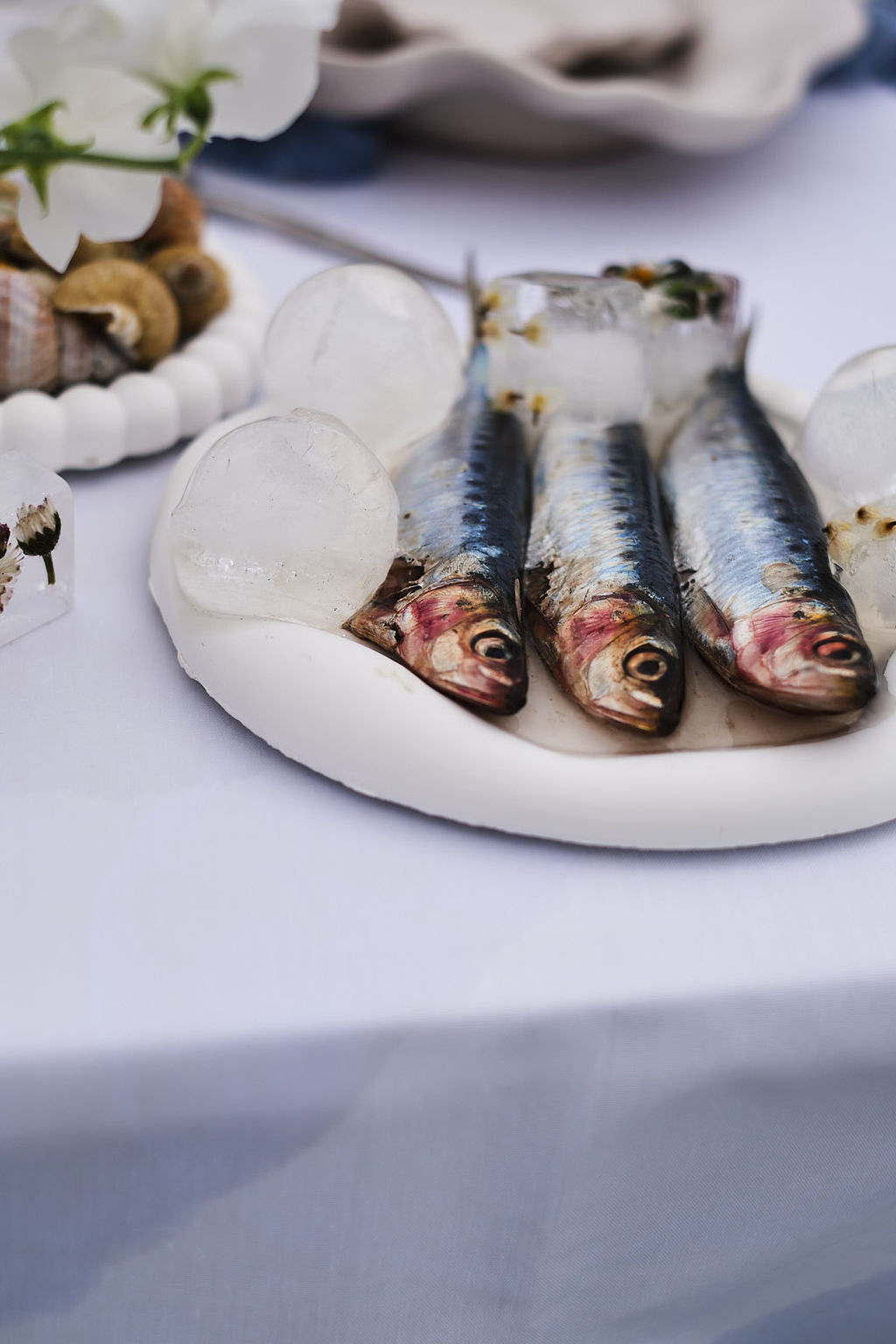 Mermaid - Blog Mariage Madame C Mermaid - Blog Mariage Madame C