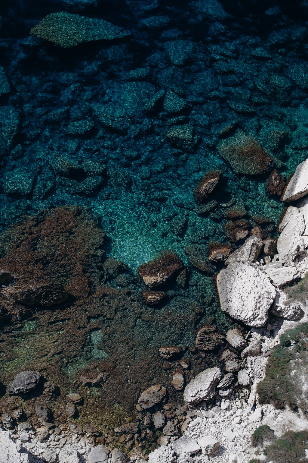 Elise Martimort Collection 2024 - Robes de Mariée - Blog Mariage Madame C