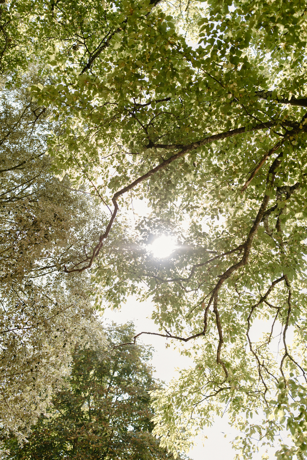 Mariage dans un Château de famille en Charente - Héloïse + Thomas - Blog Mariage Madame C Mariage dans un Château de famille en Charente - Héloïse + Thomas - Blog Mariage Madame C
