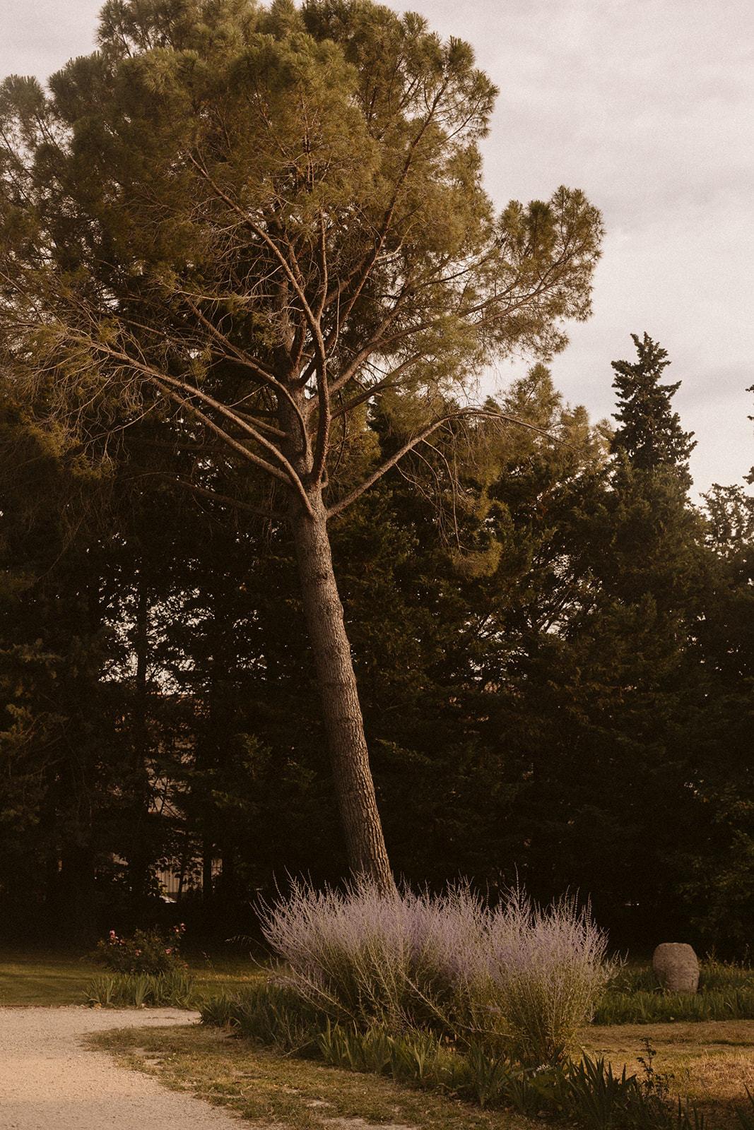 Mariage au Galinier de Lourmarin - Jennifer + Matt - Blog Mariage Madame C