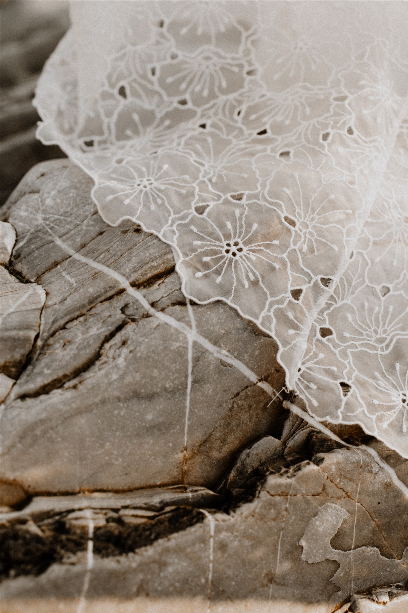 Studio Marcella Collection 2024 - Robes de mariée - Blog Mariage Madame C Studio Marcella Collection 2024 - Robes de mariée - Blog Mariage Madame C