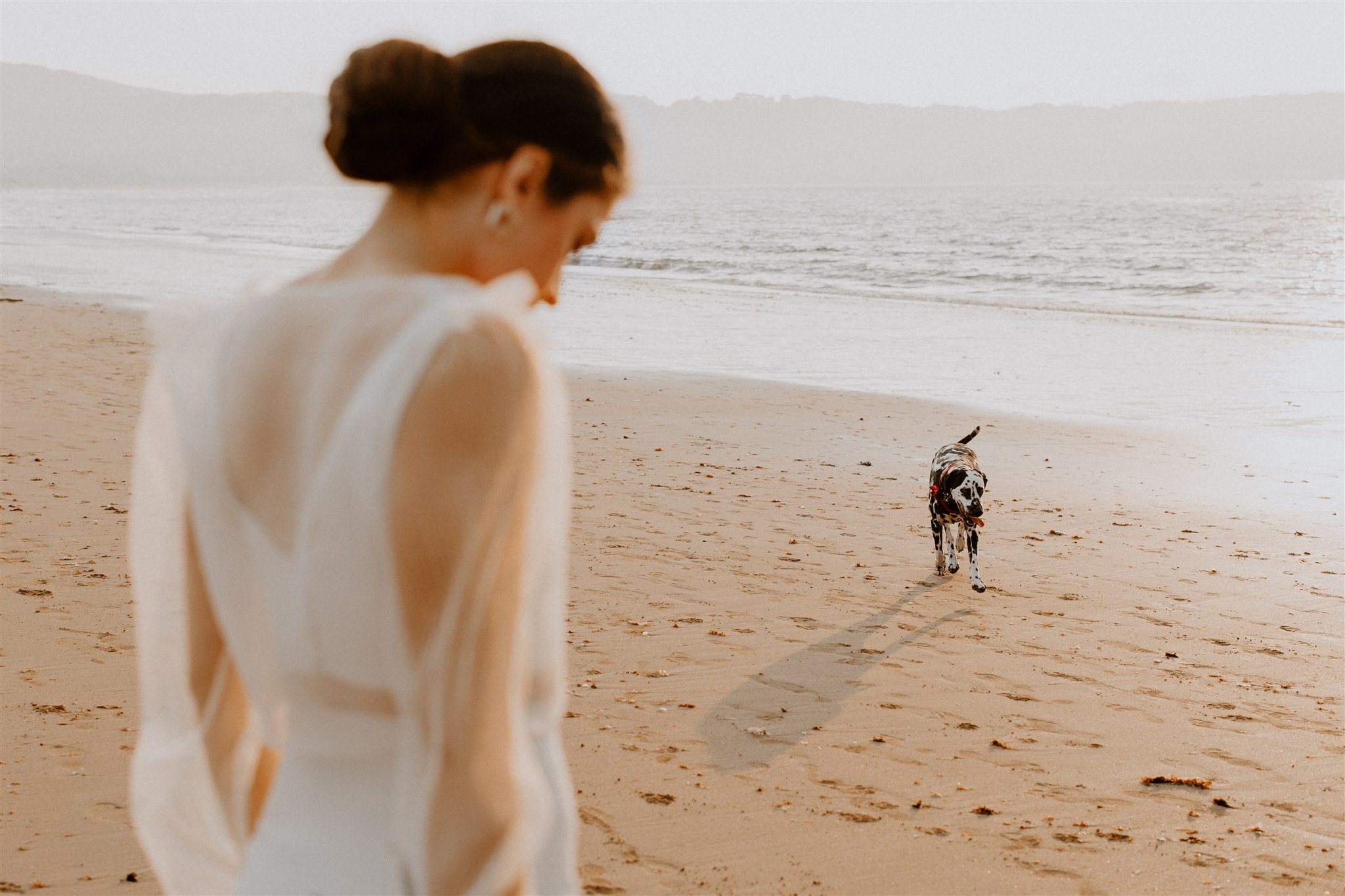 Studio Marcella Collection 2024 - Robes de mariée - Blog Mariage Madame C Studio Marcella Collection 2024 - Robes de mariée - Blog Mariage Madame C