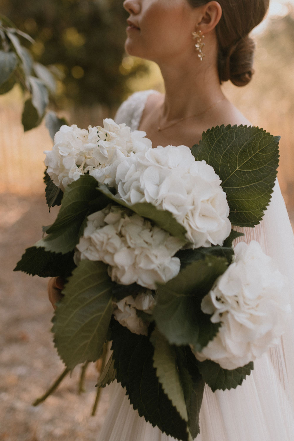 Louise Valentine collection 2024 - robes de mariée - Blog Mariage Madame C Louise Valentine collection 2024 - robes de mariée - Blog Mariage Madame C