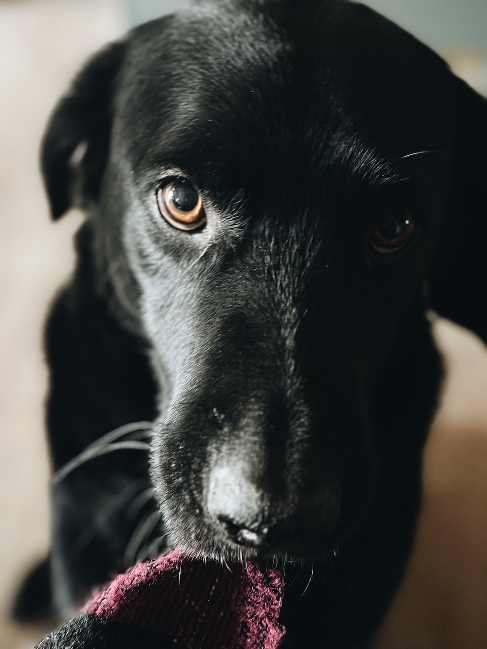 Table de Noël en Provence - Blog Mariage Madame C Table de Noël en Provence - Blog Mariage Madame C