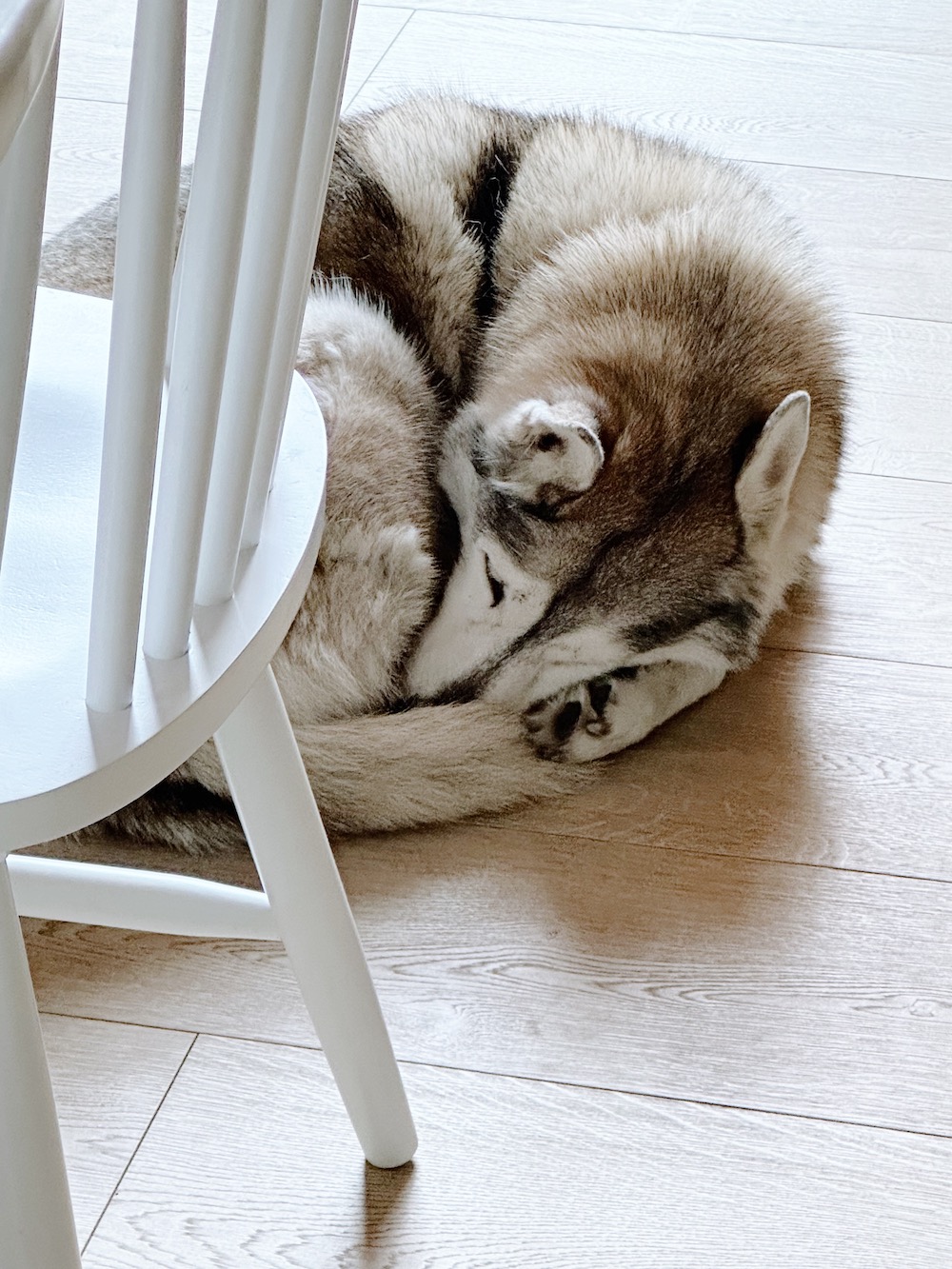 Table de Noël en Provence - Blog Mariage Madame C Table de Noël en Provence - Blog Mariage Madame C