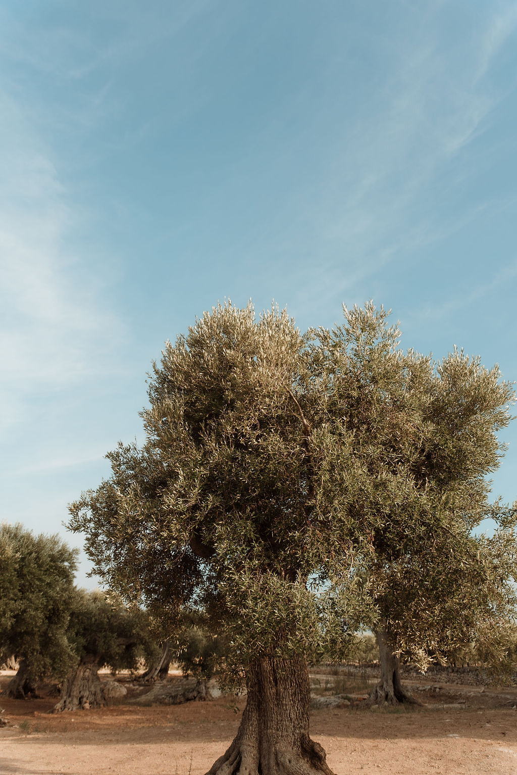 Mariage d'été dans les Pouilles - Beryl + Gabriel - Blog Mariage Madame C Mariage d'été dans les Pouilles - Beryl + Gabriel - Blog Mariage Madame C