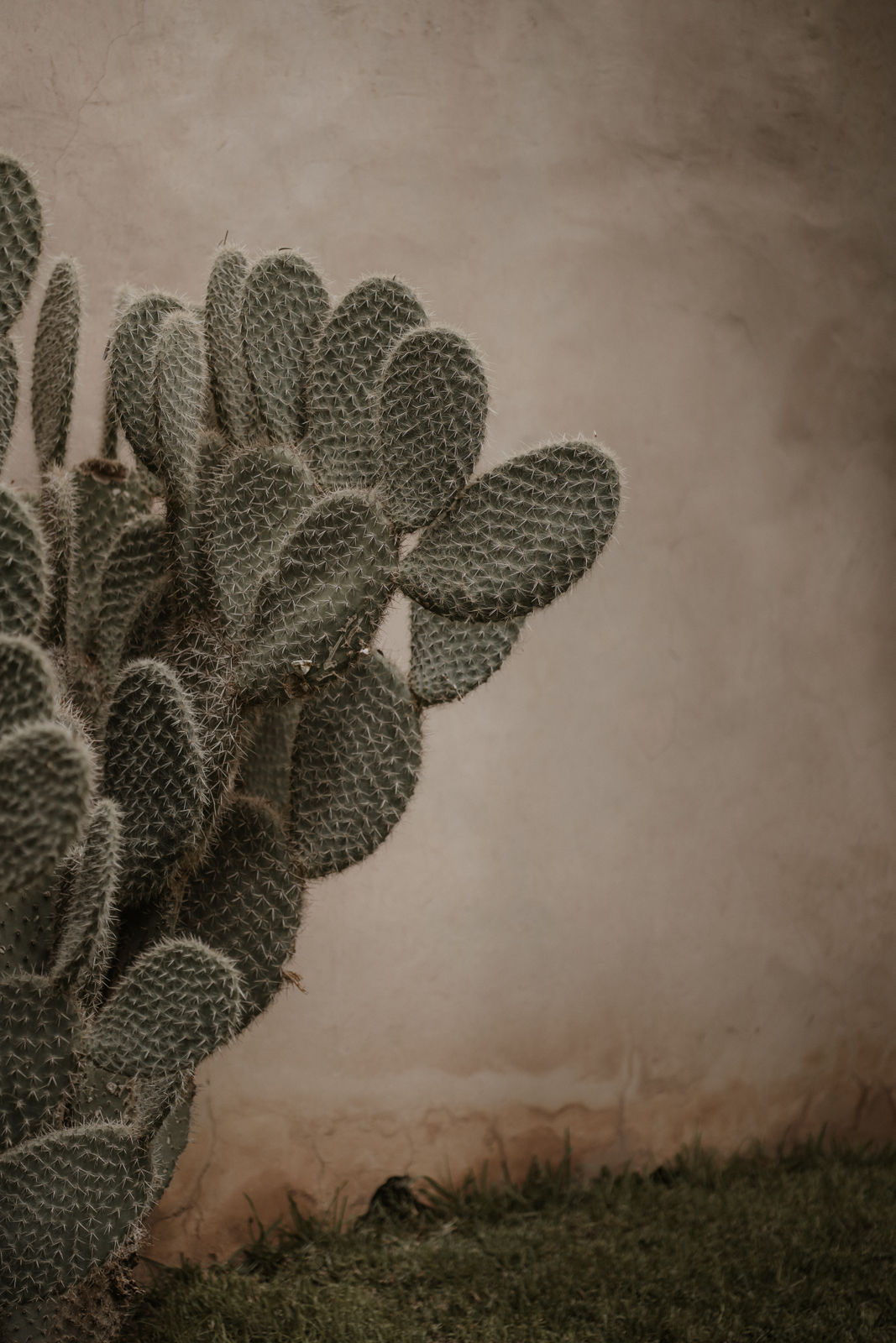 Mariage bohème à Marrakech - Aline + Geoffrey - Blog Mariage Madame C Mariage bohème à Marrakech - Aline + Geoffrey - Blog Mariage Madame C