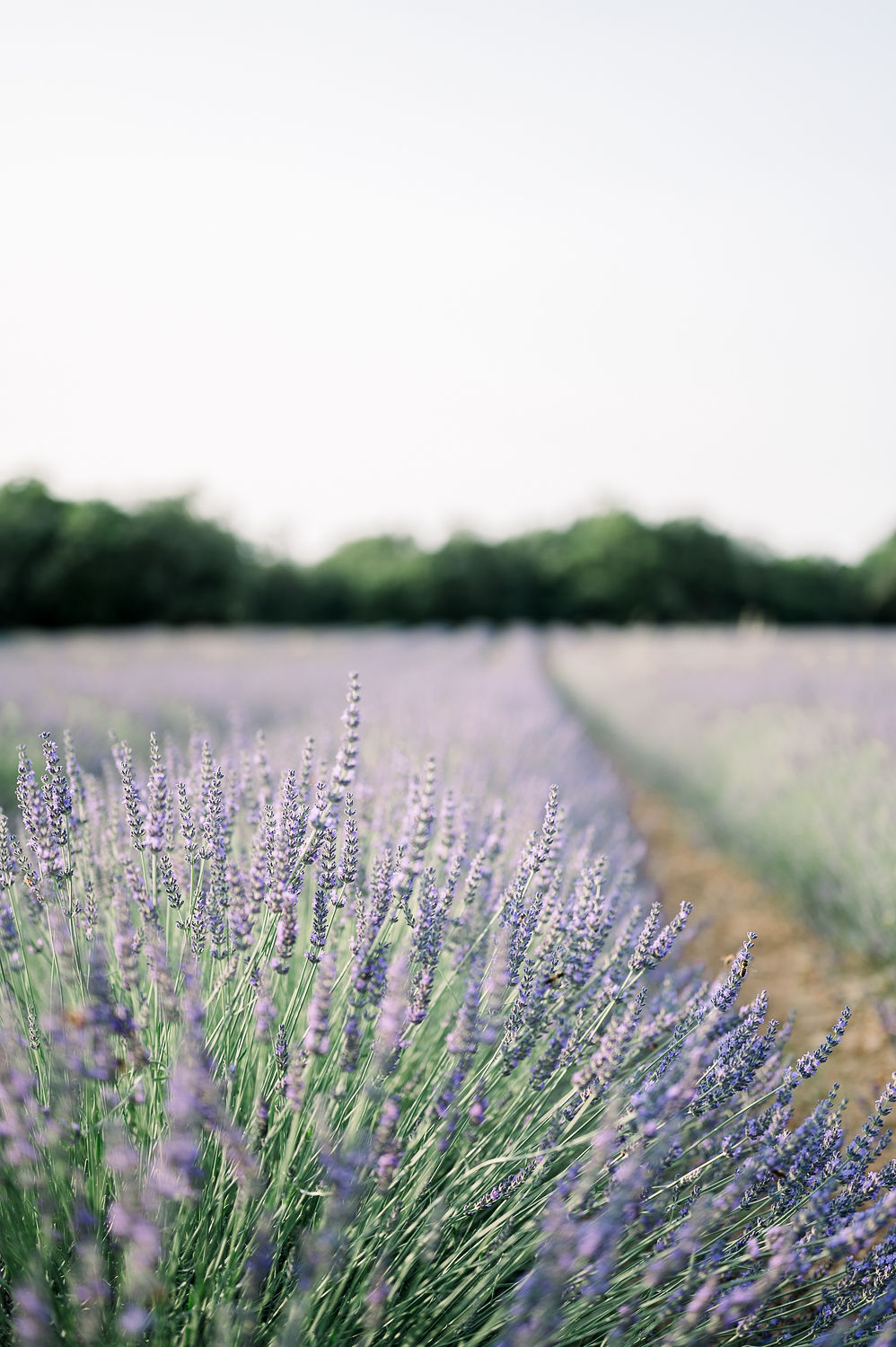 Romance Moderne au Château de Mille - Blog Mariage Madame C