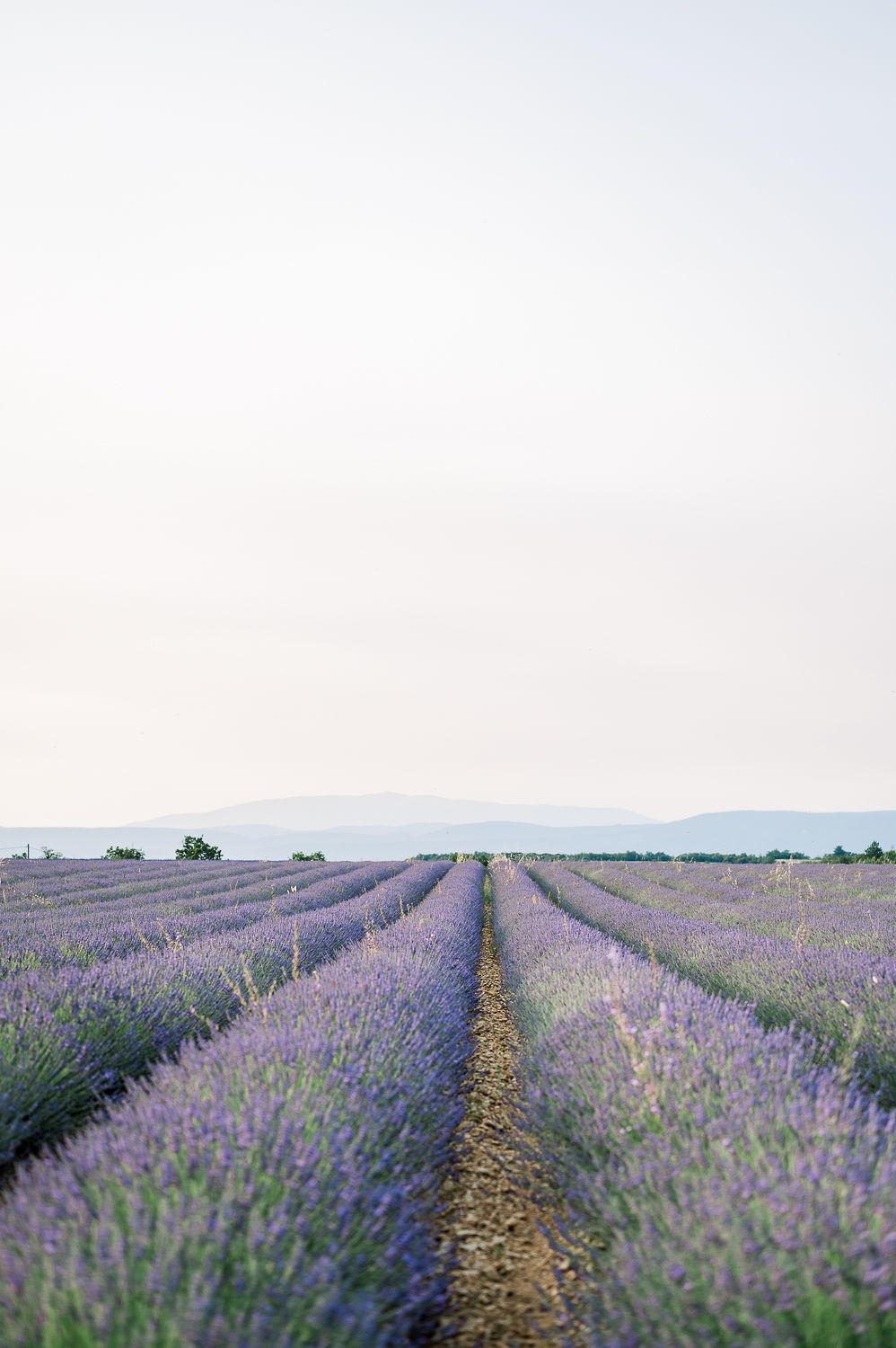 Romance Moderne au Château de Mille - Blog Mariage Madame C