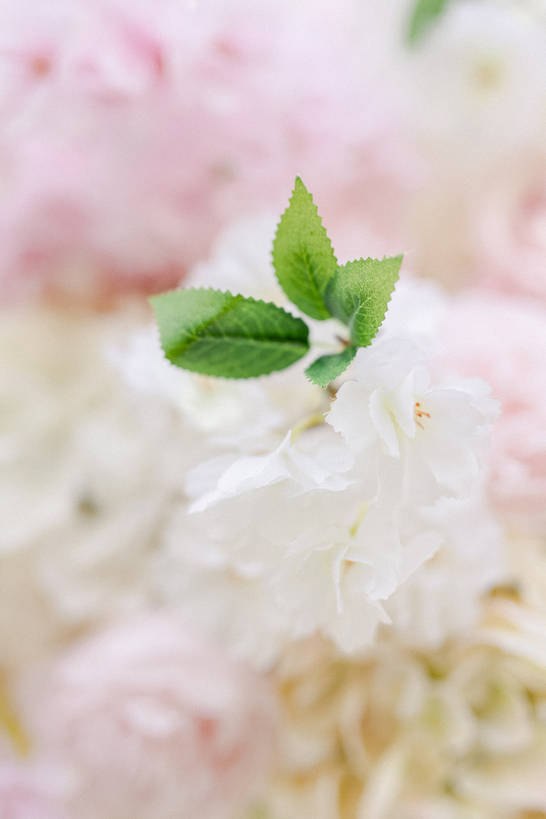 Mariage au Mas de la Rose en Provence - Tamara + Roan - Blog Mariage Madame C Mariage au Mas de la Rose en Provence - Tamara + Roan - Blog Mariage Madame C