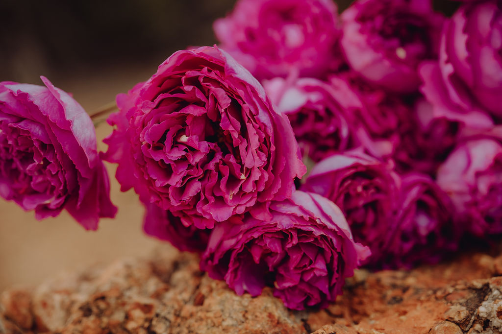 Colorado mi amor - Blog Mariage Madame C Colorado mi amor - Blog Mariage Madame C