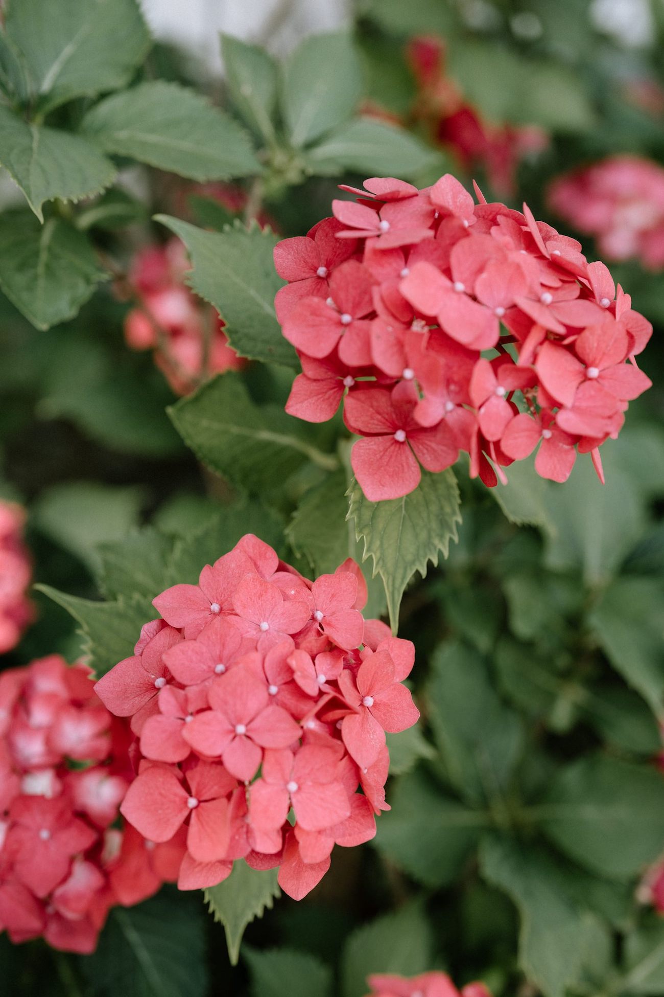 Mariage en Occitanie au Château de Malmont - Alexia & Thibault - Blog Mariage Madame C Mariage en Occitanie au Château de Malmont - Alexia & Thibault - Blog Mariage Madame C