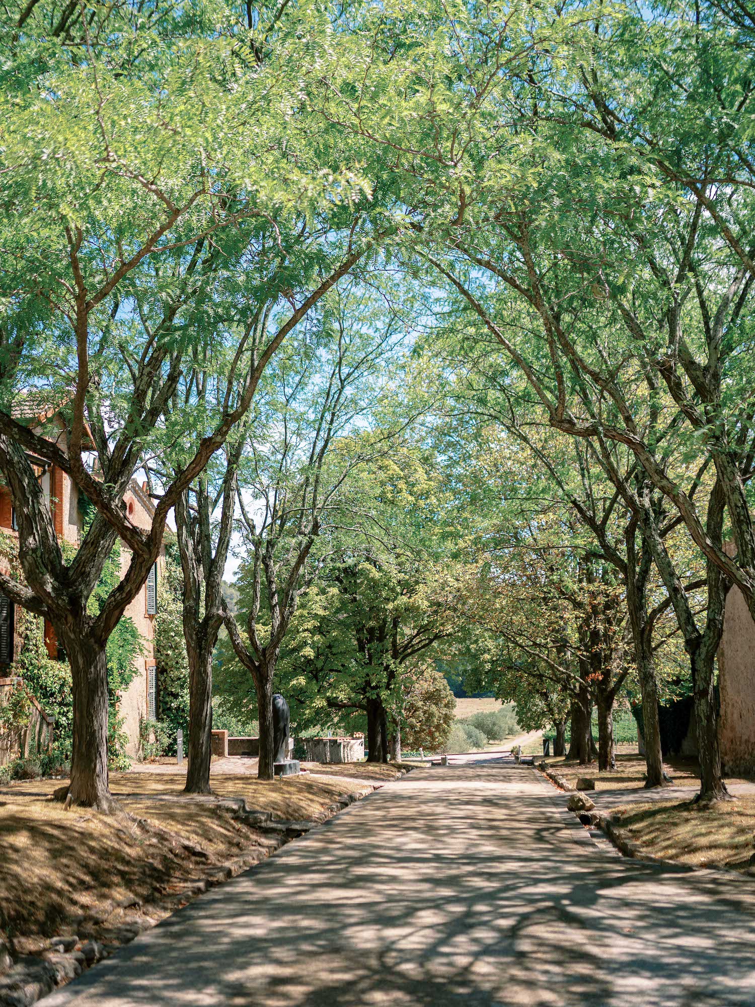 Marie Chicchirichi : wedding-planner en Provence - Blog Mariage Madame C