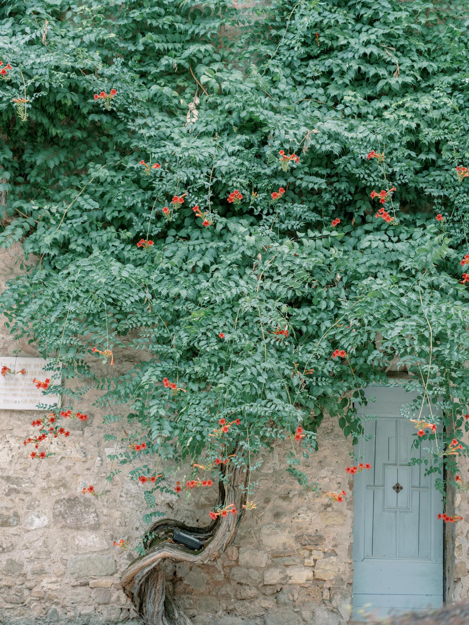 Marie Chicchirichi : wedding-planner en Provence - Blog Mariage Madame C