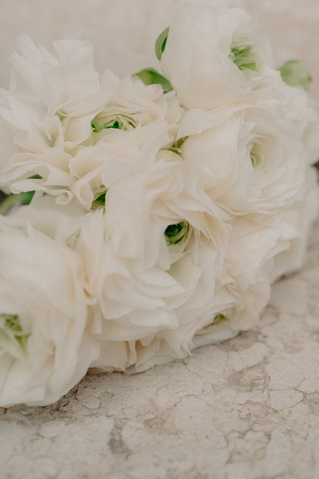 Les photographes de mariage qui nous inspirent en 2024 - Blog Mariage Madame C