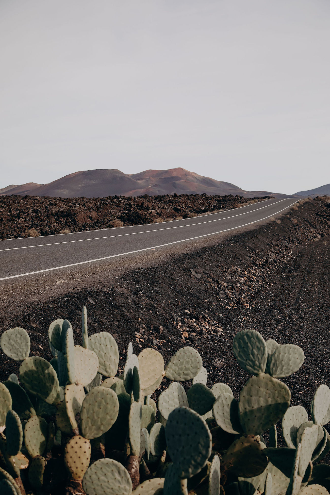 Faubourg Saint Sulpice Collection 2024 - Costume de marié - Blog Mariage Madame C
