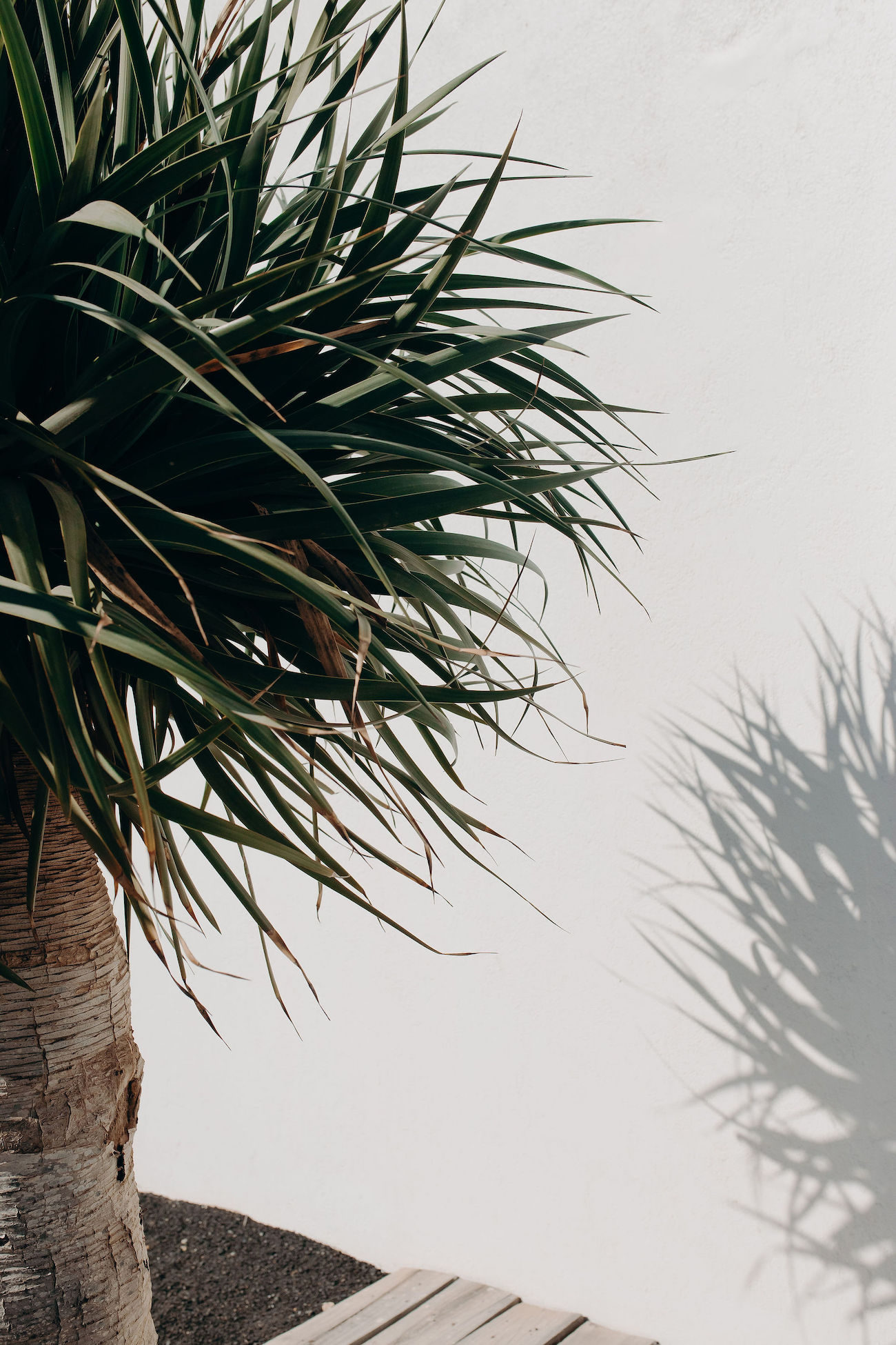 Faubourg Saint Sulpice Collection 2024 - Costume de marié - Blog Mariage Madame C