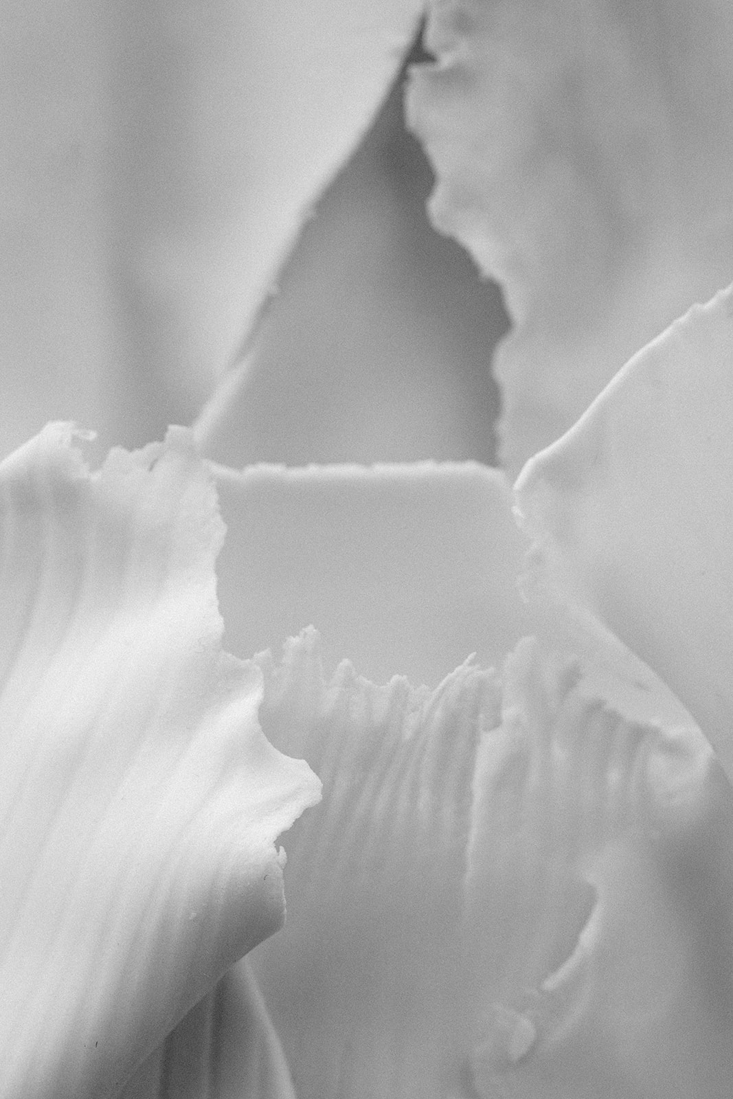 The One by night : Printemps 2024 - Blog Mariage Madame C The One by night : Printemps 2024 - Blog Mariage Madame C