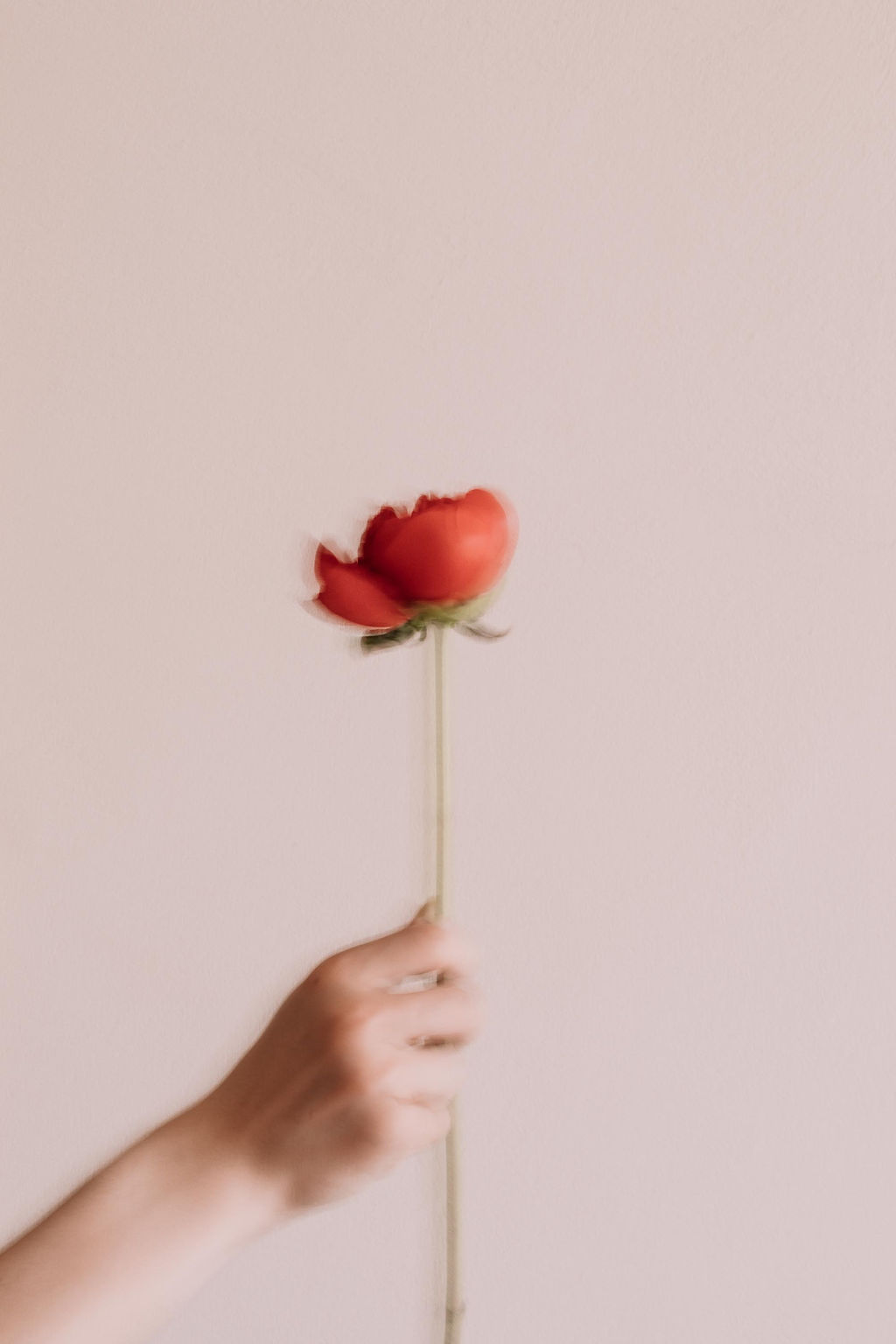 Rainbow of Love - Blog Mariage Madame C Rainbow of Love - Blog Mariage Madame C