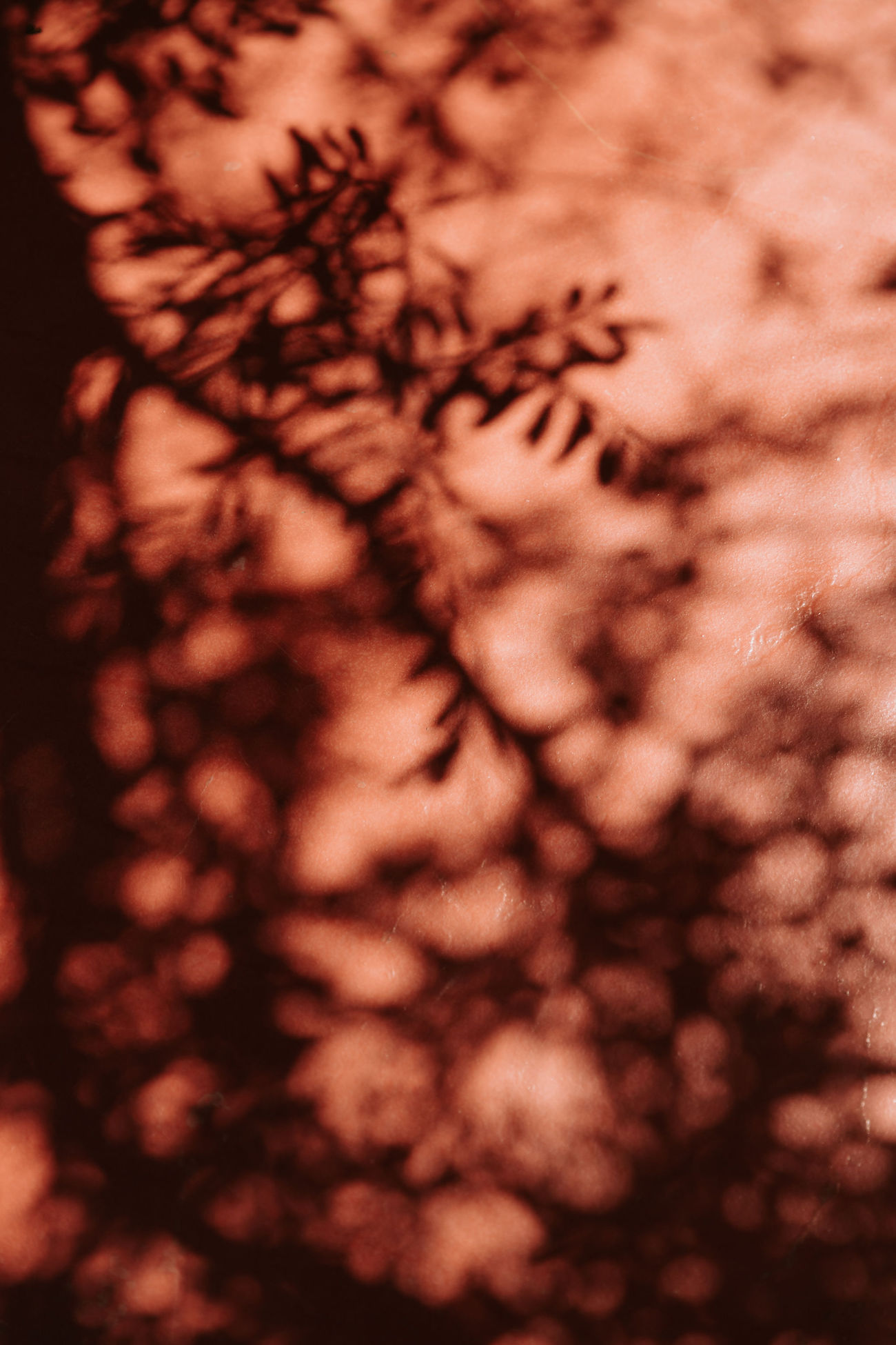 Mariage coloré au Mas de So - Aurore + Victor - Blog Mariage Madame C Mariage coloré au Mas de So - Aurore + Victor - Blog Mariage Madame C