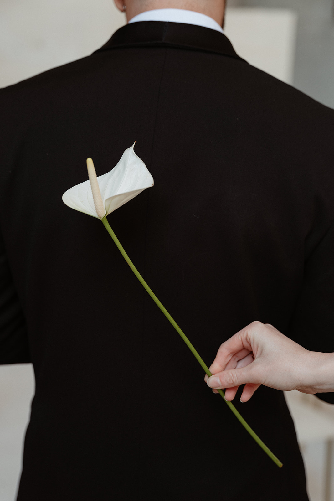 Symbiosis : Poésie couture aux Carrières des Lumières - Blog Mariage Madame C Symbiosis : Poésie couture aux Carrières des Lumières - Blog Mariage Madame C