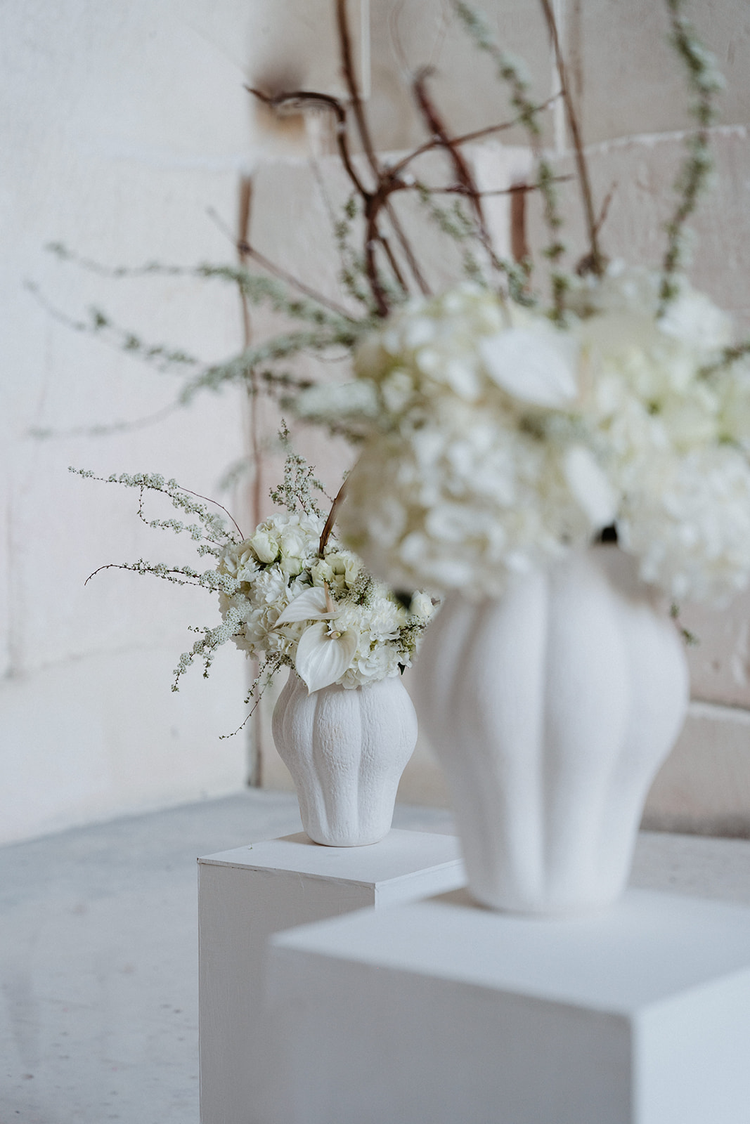 Symbiosis : Poésie couture aux Carrières des Lumières - Blog Mariage Madame C Symbiosis : Poésie couture aux Carrières des Lumières - Blog Mariage Madame C