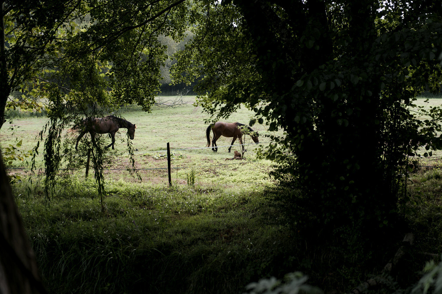Mariage dans les Landes au Coco Barn Wood Lodge - Isabelle + David - Blog Mariage Madame C