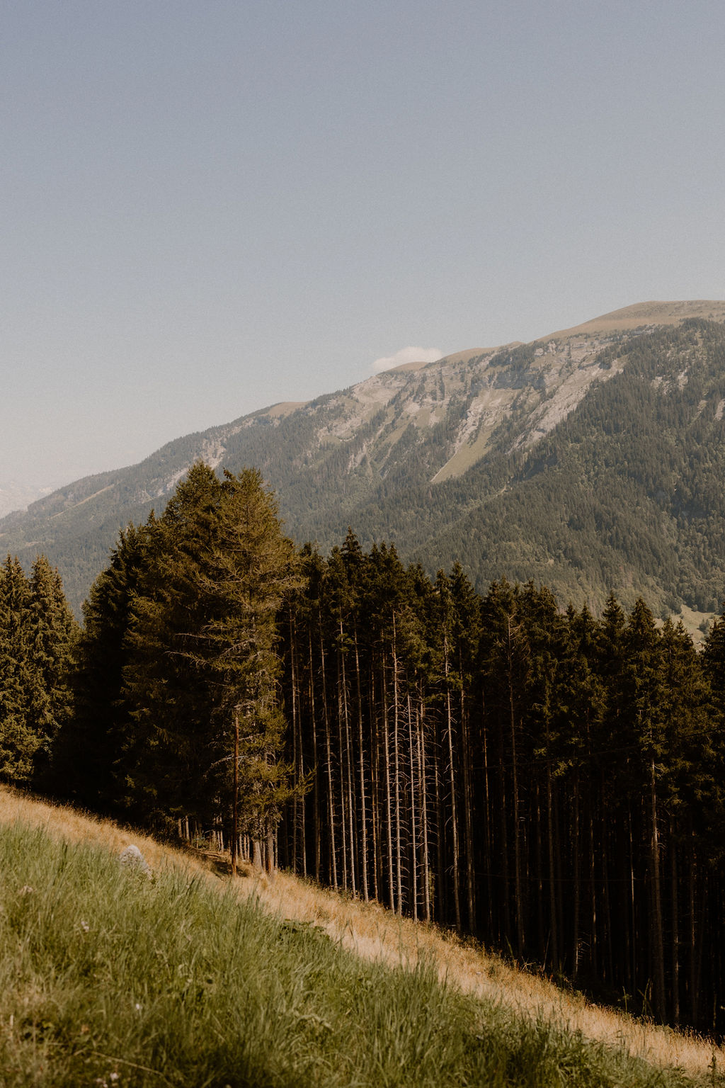 Mariage d'été en Haute-Savoie au Gite du Passant - Audrey + Adrien - Blog Mariage Madame C Mariage d'été en Haute-Savoie au Gite du Passant - Audrey + Adrien - Blog Mariage Madame C