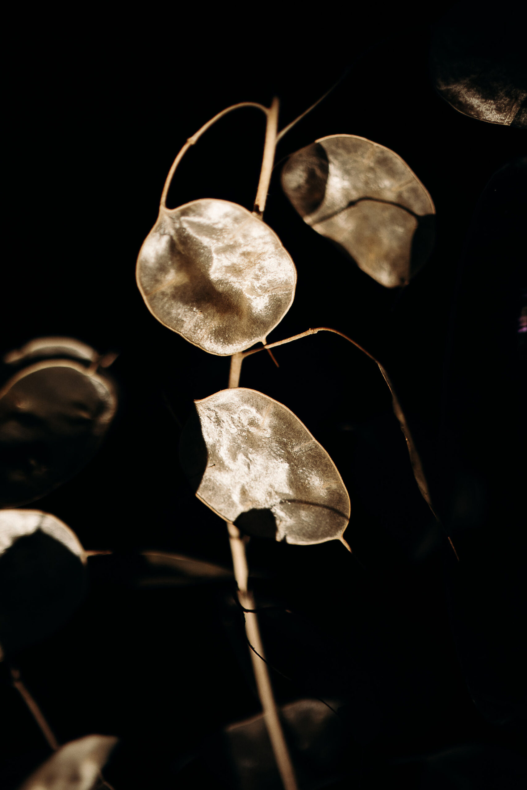 Monochrome - Blog Mariage Madame C