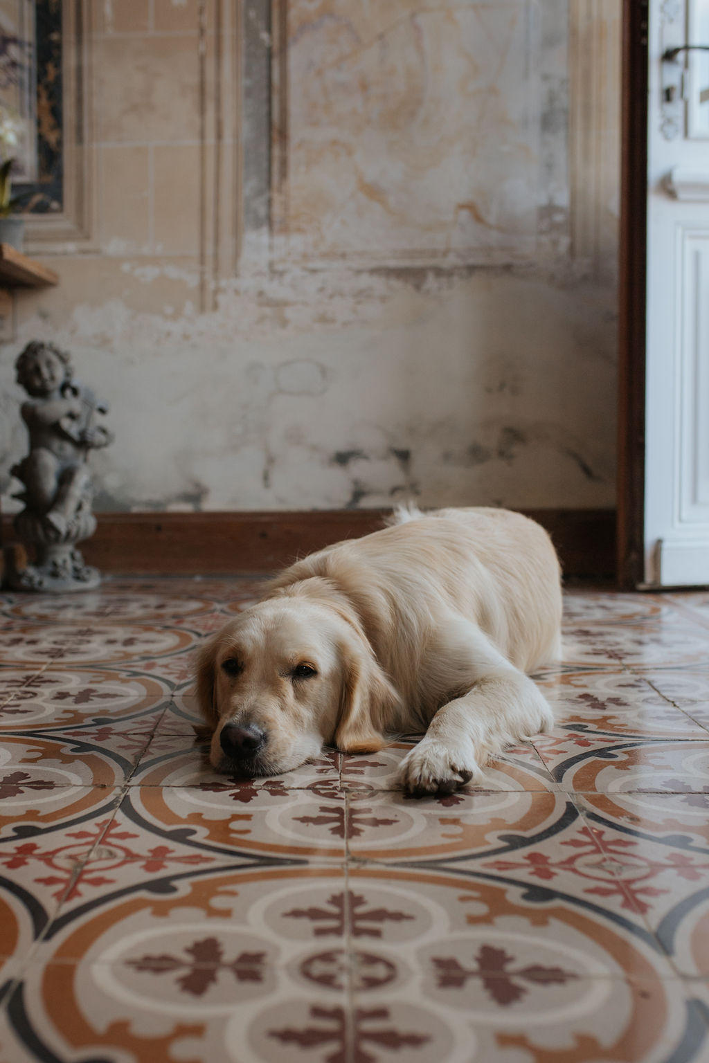 Mariage en Normandie au Manoir de Chivré - Audrey + Philippe - Blog Mariage Madame C