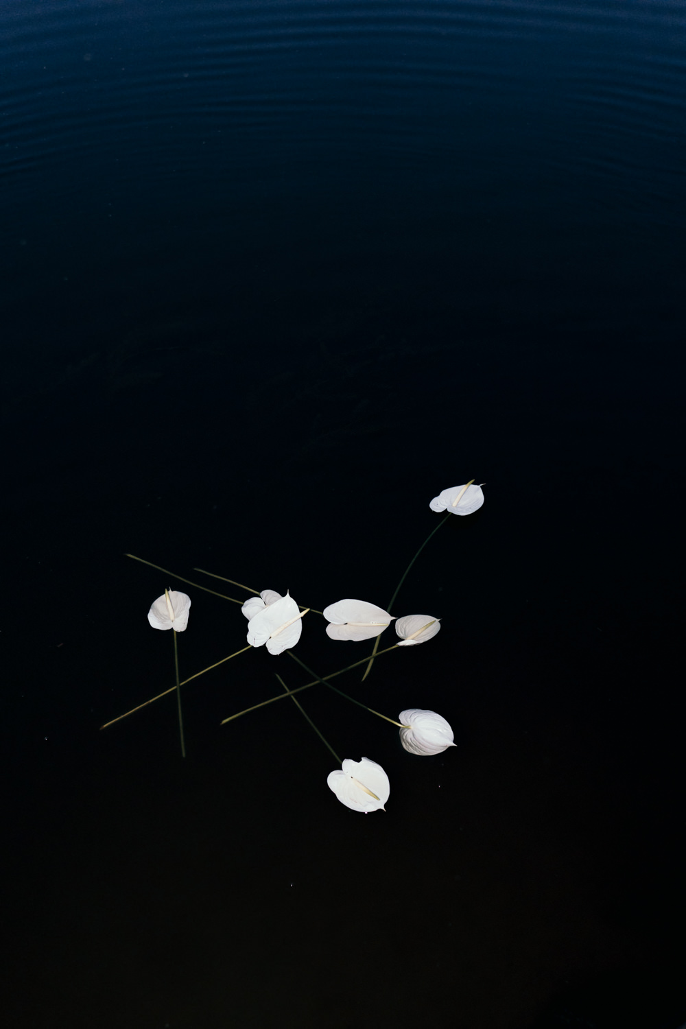 Love on the bridge - Blog Mariage Madame C