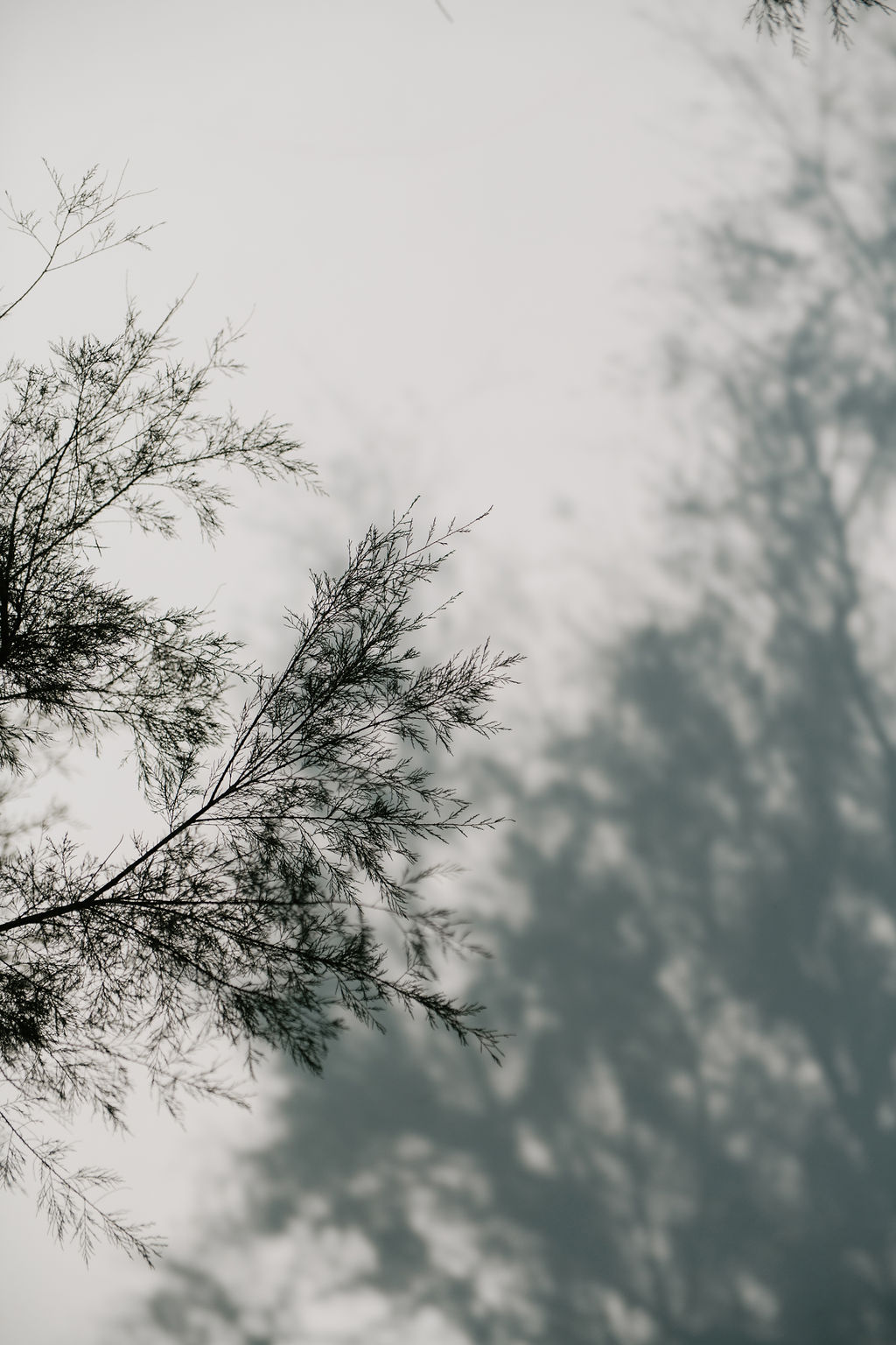 Mariage au Pays Basque à Bidart - Claire + Ben - Blog Mariage Madame C