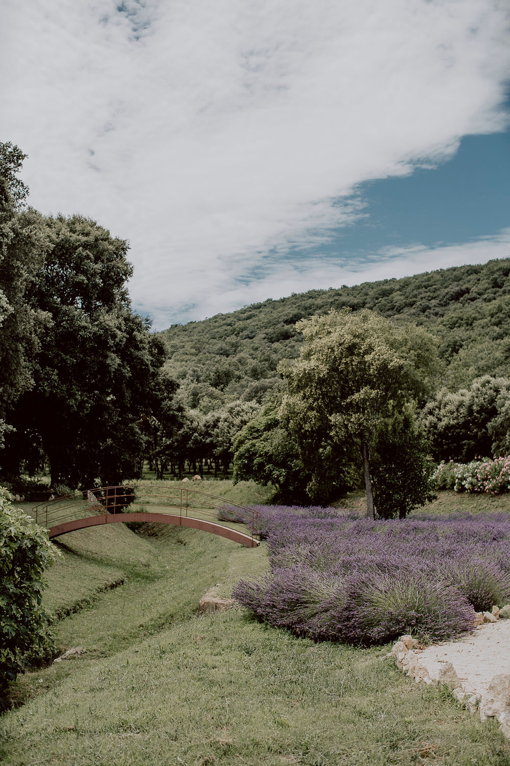Mariage de Provence au Domaine de Valbonne - Pauline + Henri - Blog Mariage Madame C