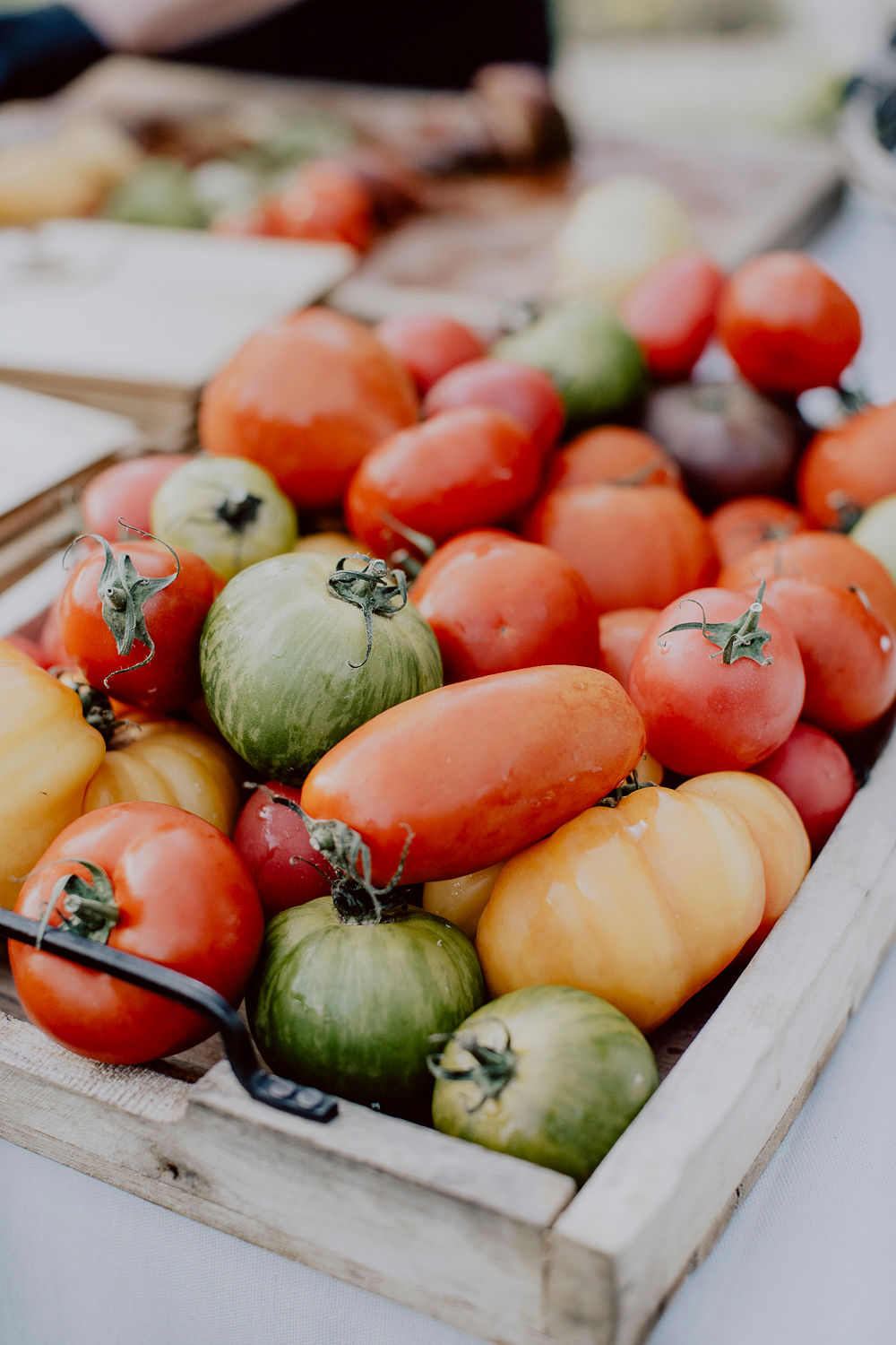 Mariage de Provence au Domaine de Valbonne - Pauline + Henri - Blog Mariage Madame C