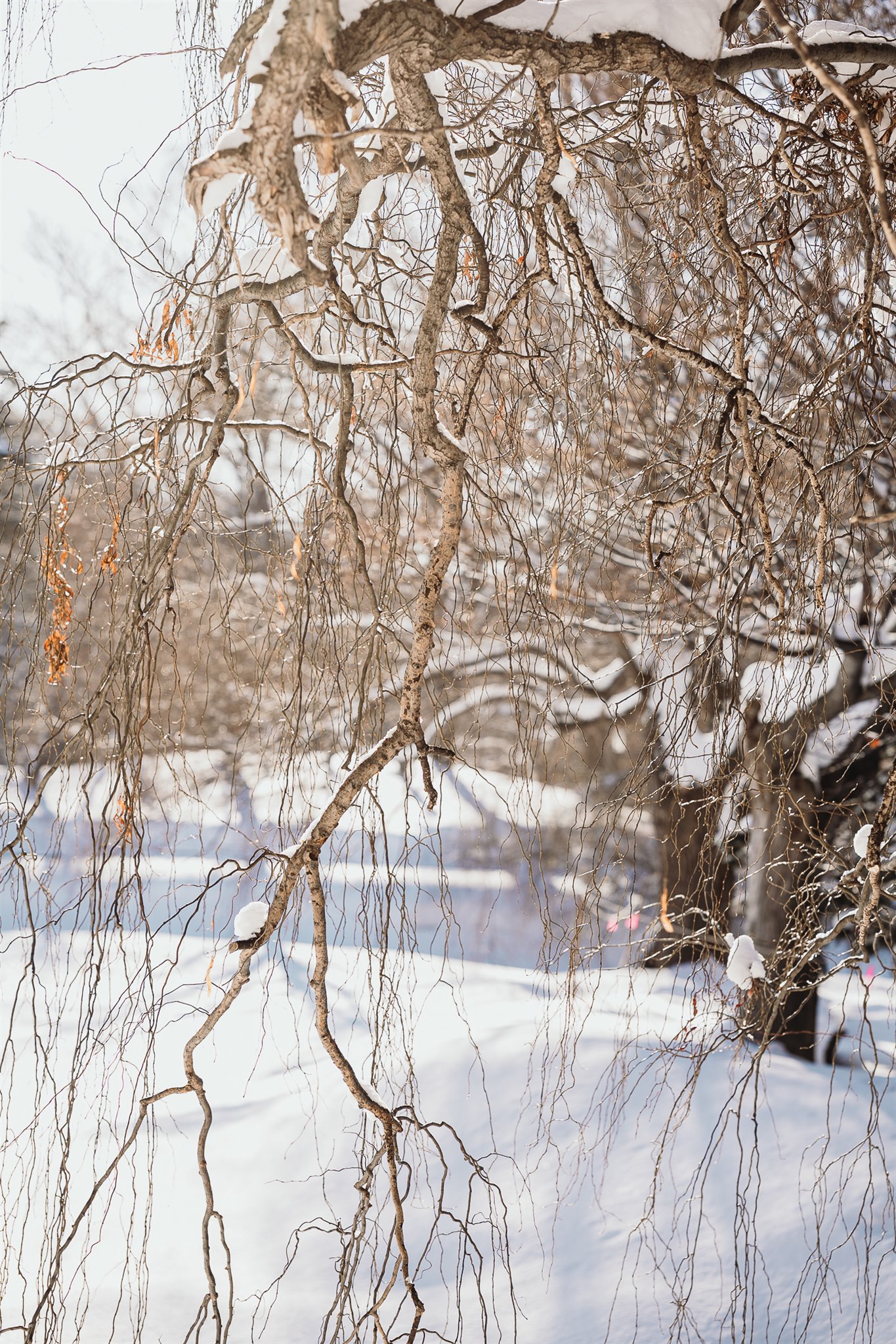 Mariage d'hiver au Japon - Yuka + Julien - Blog Mariage Madame C